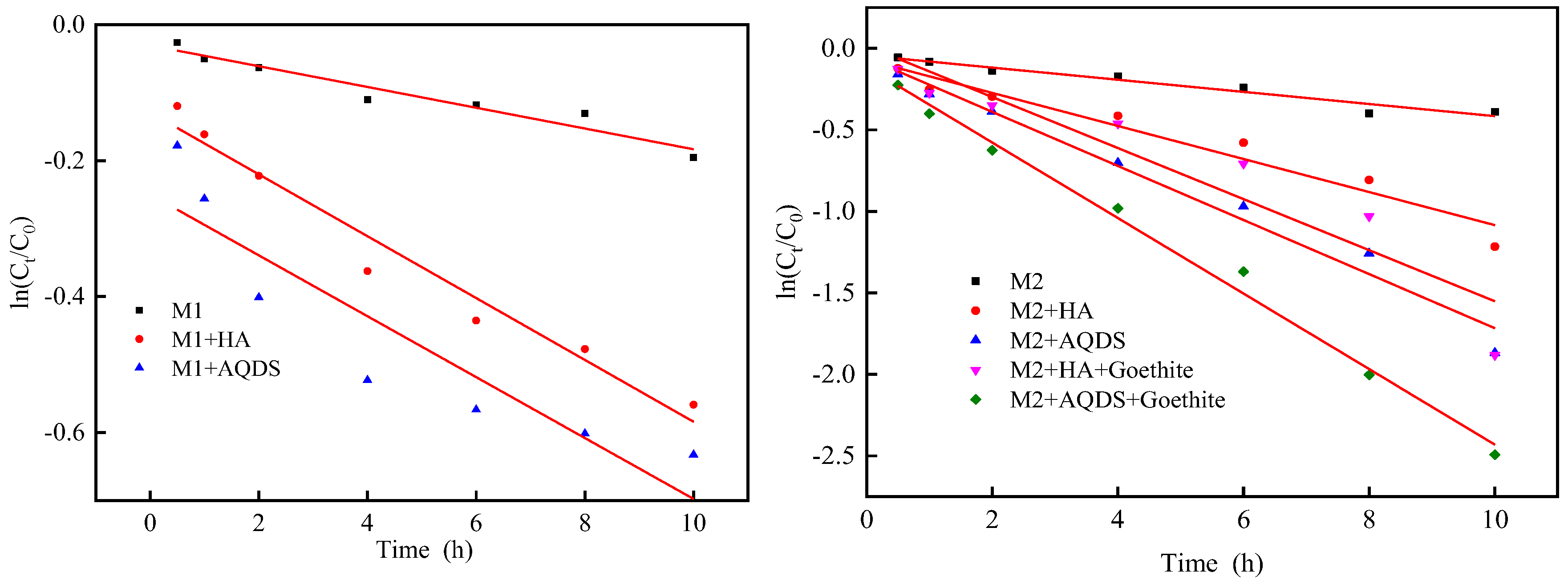 Microorganisms 12 00754 g005