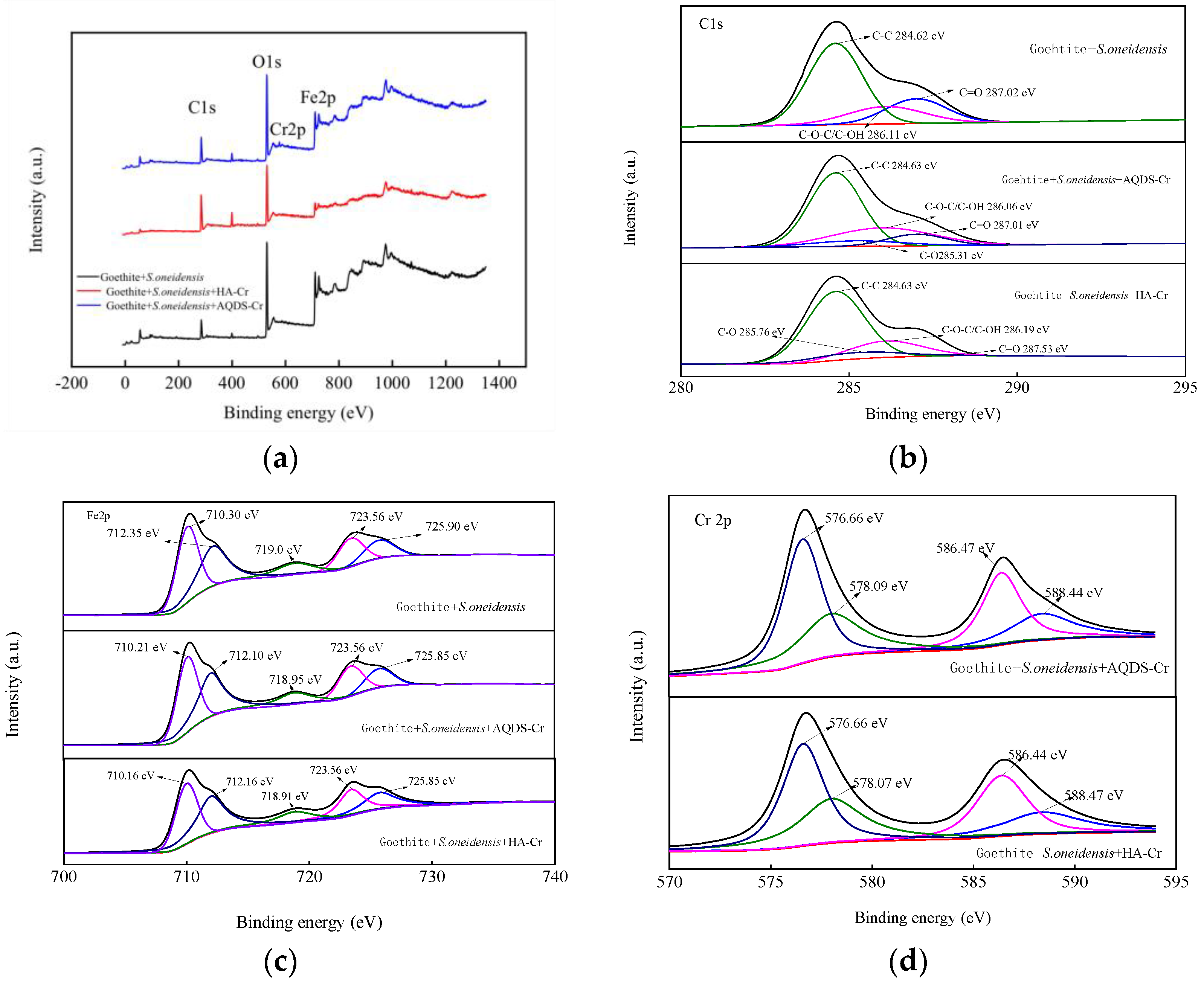 Microorganisms 12 00754 g011