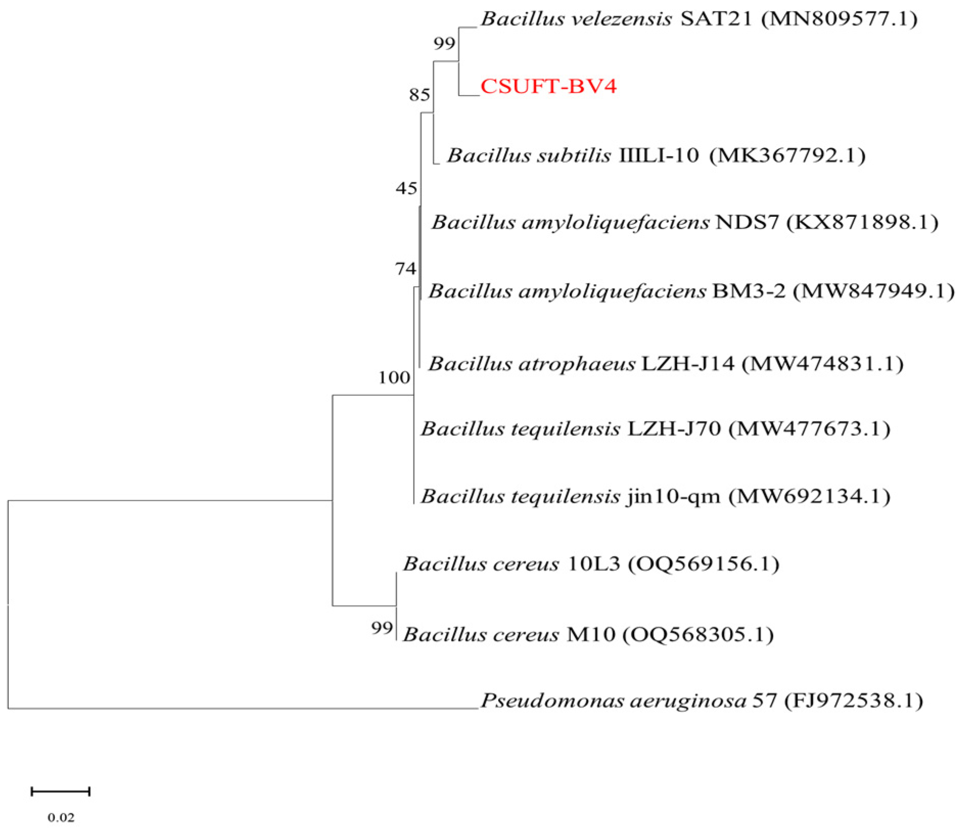 Microorganisms 12 00763 g001
