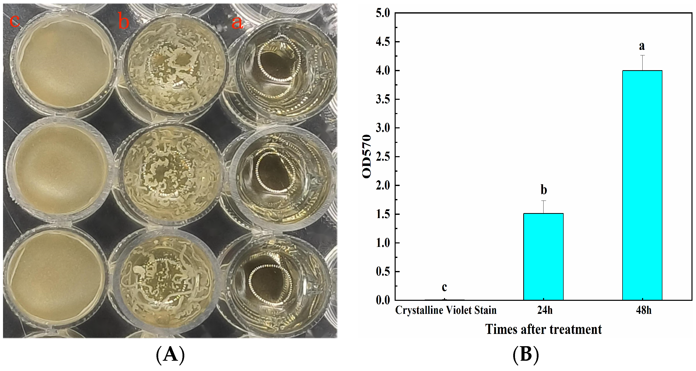 Microorganisms 12 00763 g002