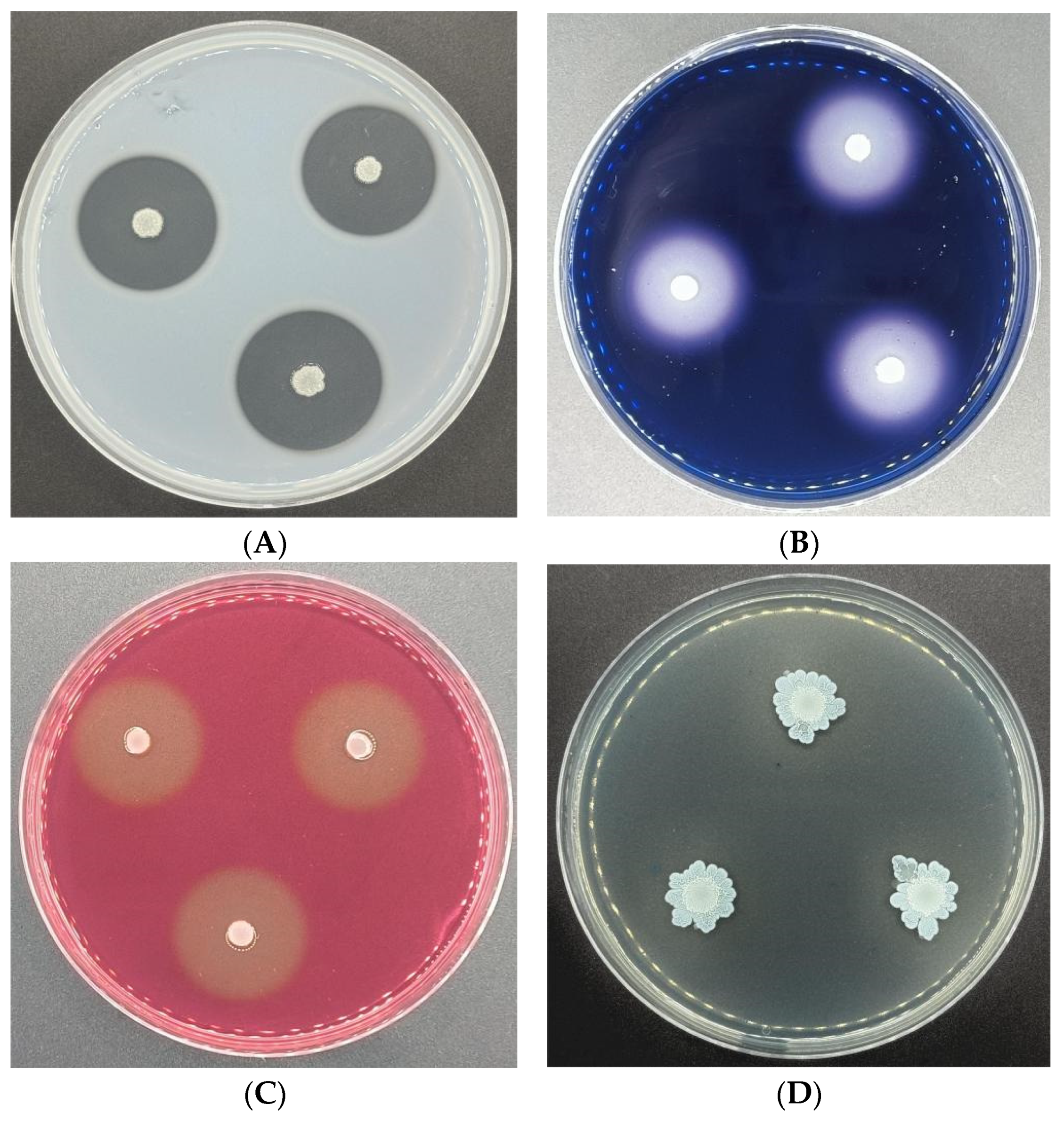 Microorganisms 12 00763 g003