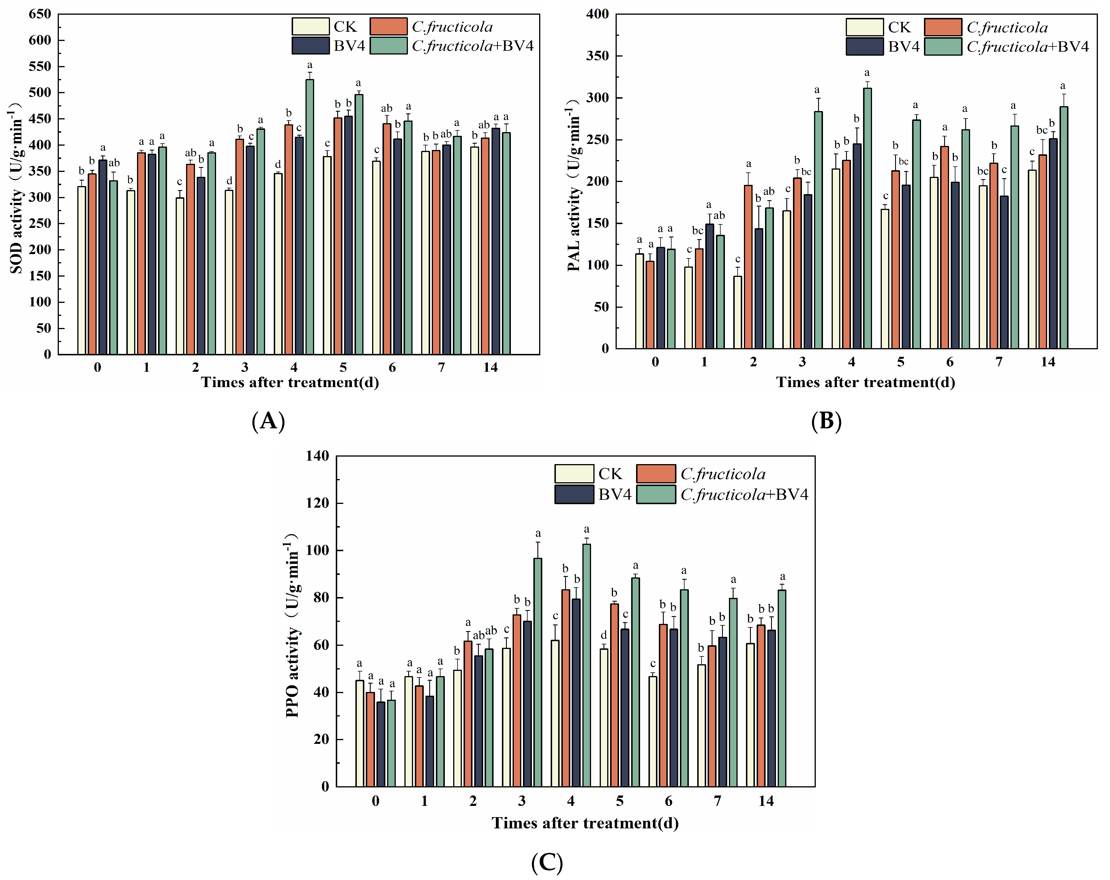 Microorganisms 12 00763 g019
