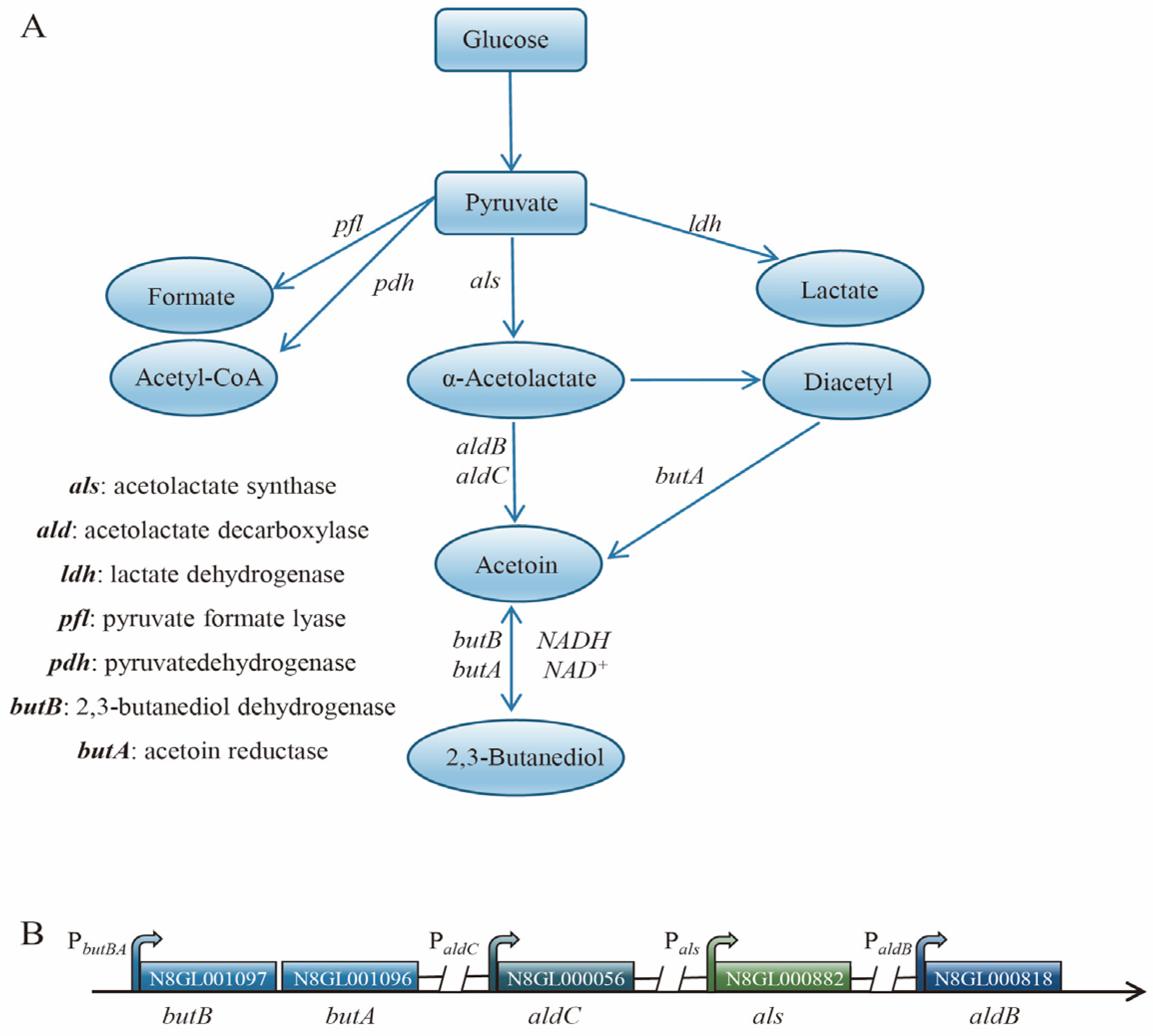 Microorganisms 12 00773 g002 Microorganisms 12 00773 g002
