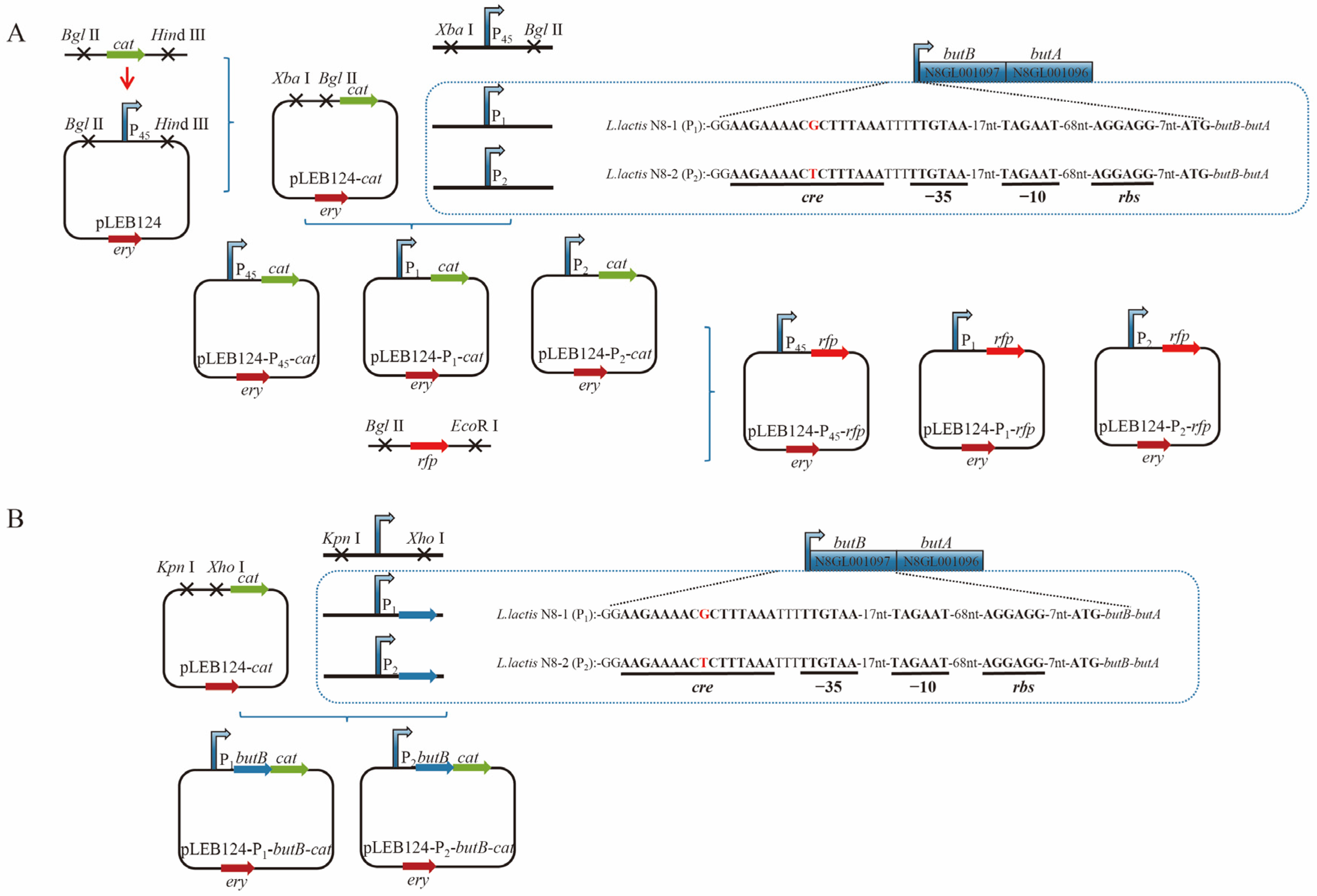 Microorganisms 12 00773 g005 Microorganisms 12 00773 g005