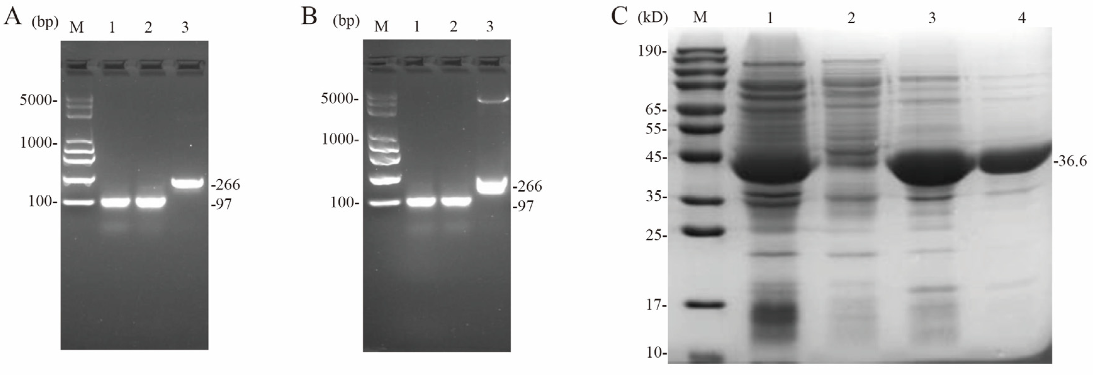 Microorganisms 12 00773 g006 Microorganisms 12 00773 g006