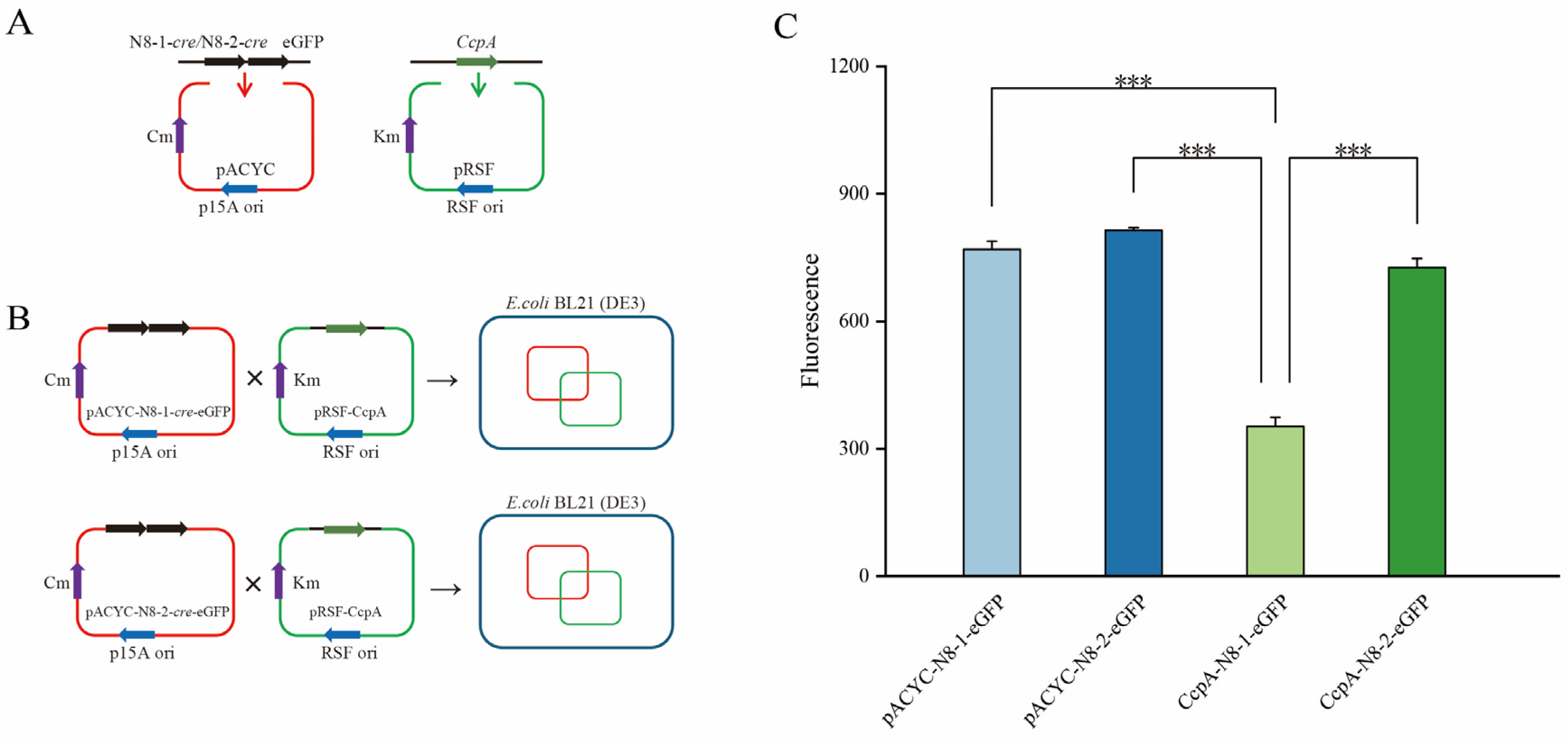 Microorganisms 12 00773 g008 Microorganisms 12 00773 g008