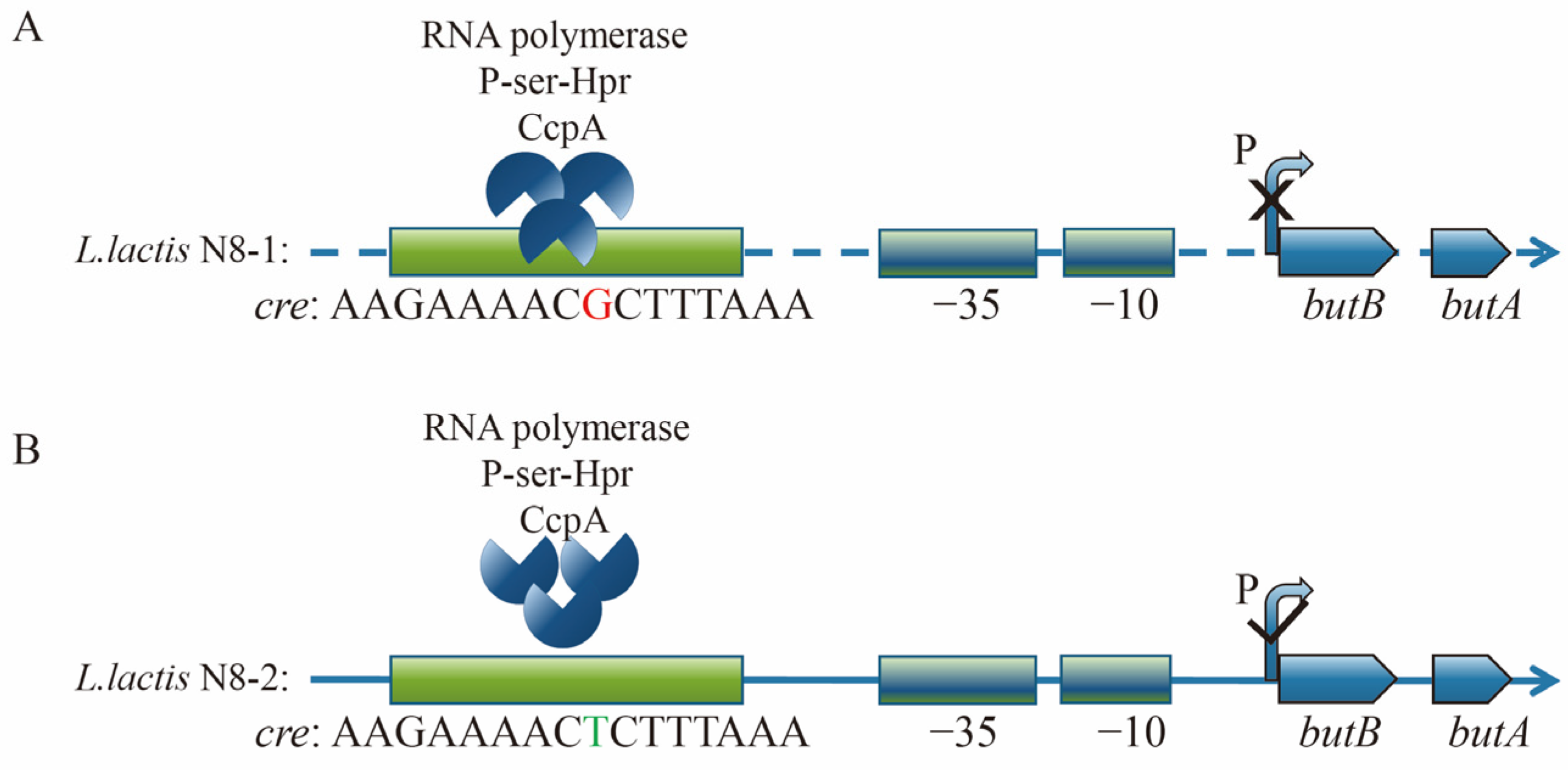Microorganisms 12 00773 g010 Microorganisms 12 00773 g010