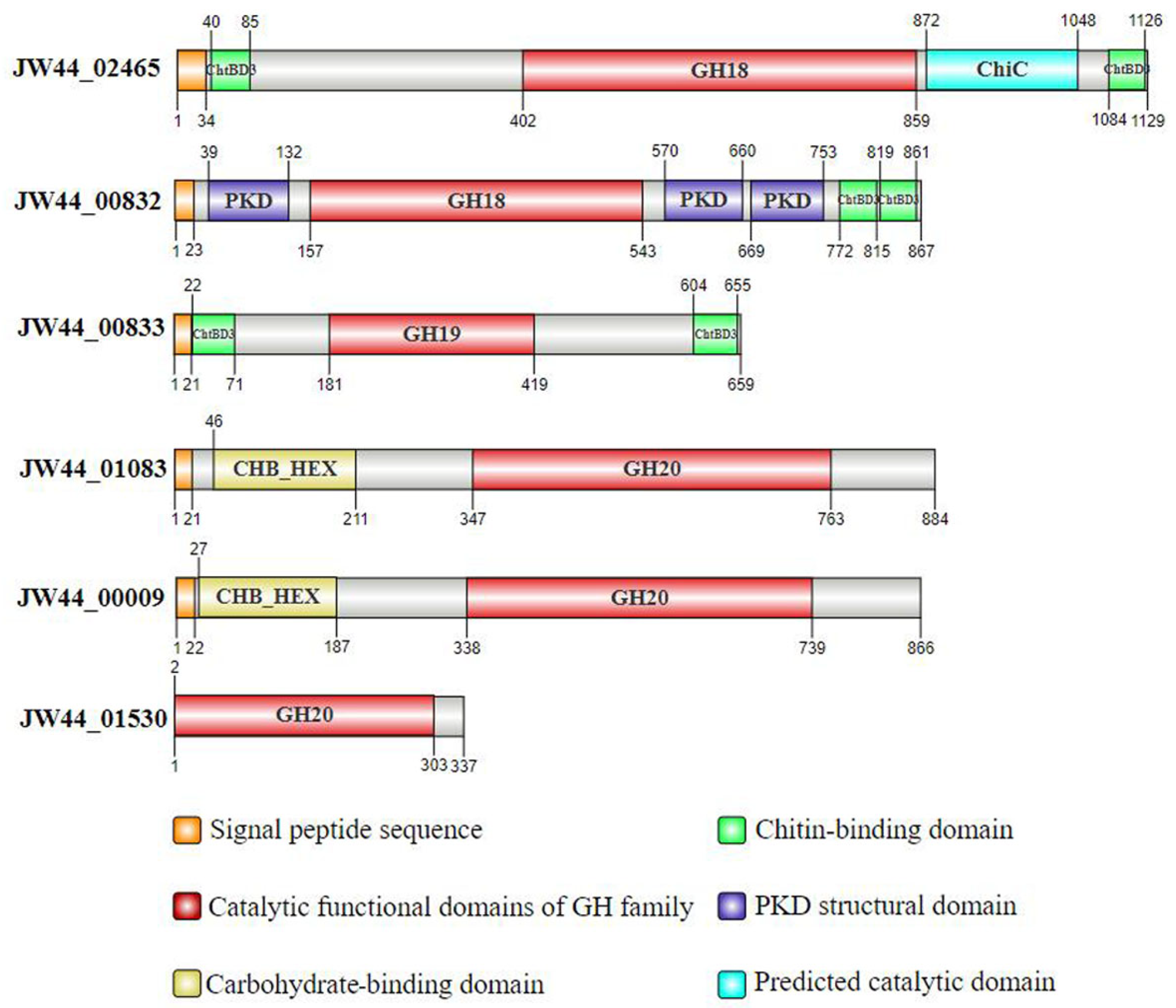 Microorganisms 12 00774 g003