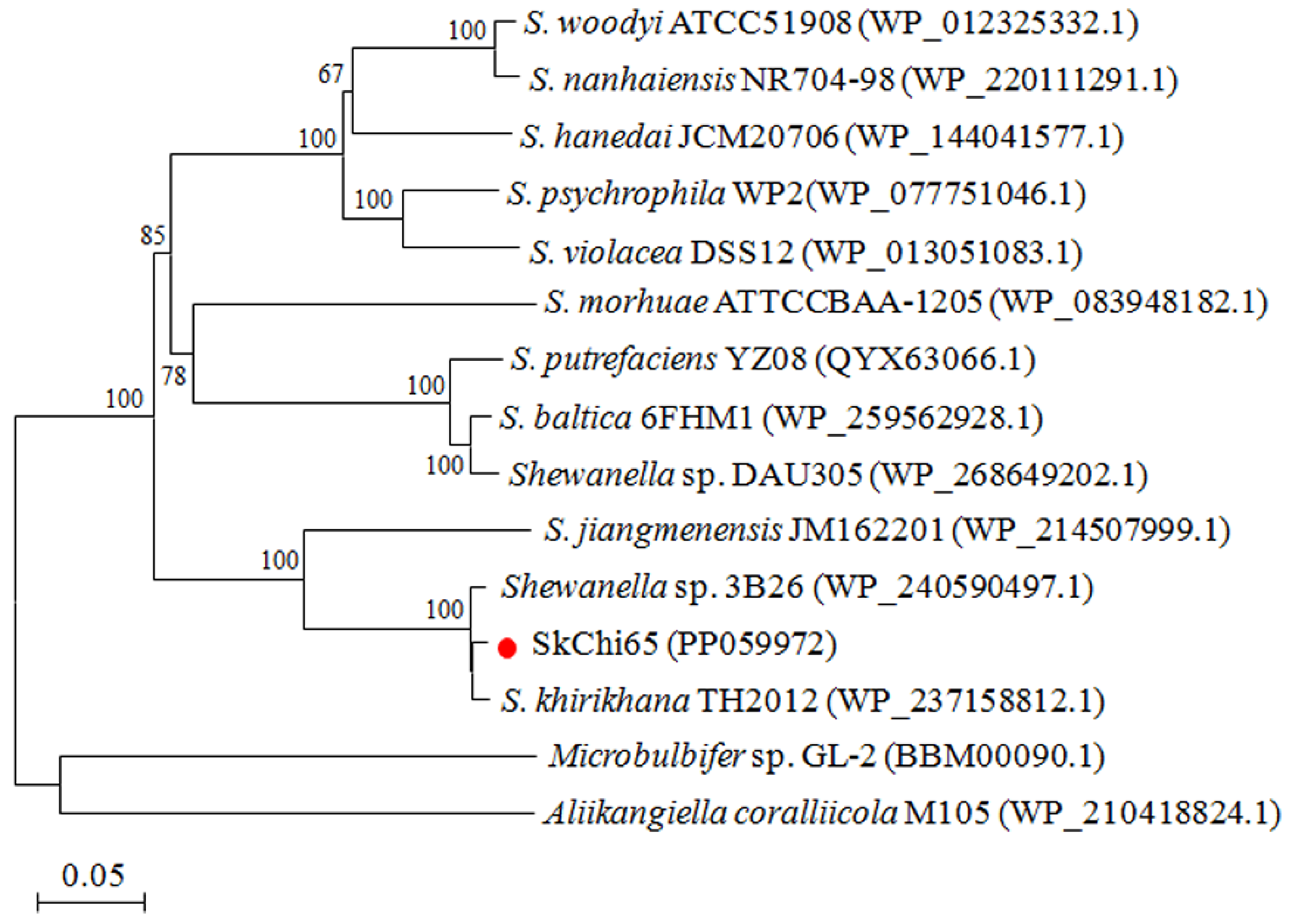 Microorganisms 12 00774 g004
