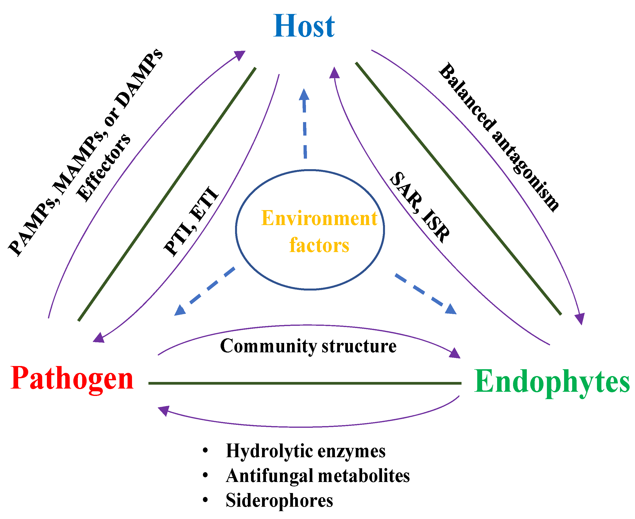 Microorganisms 12 00779 g002