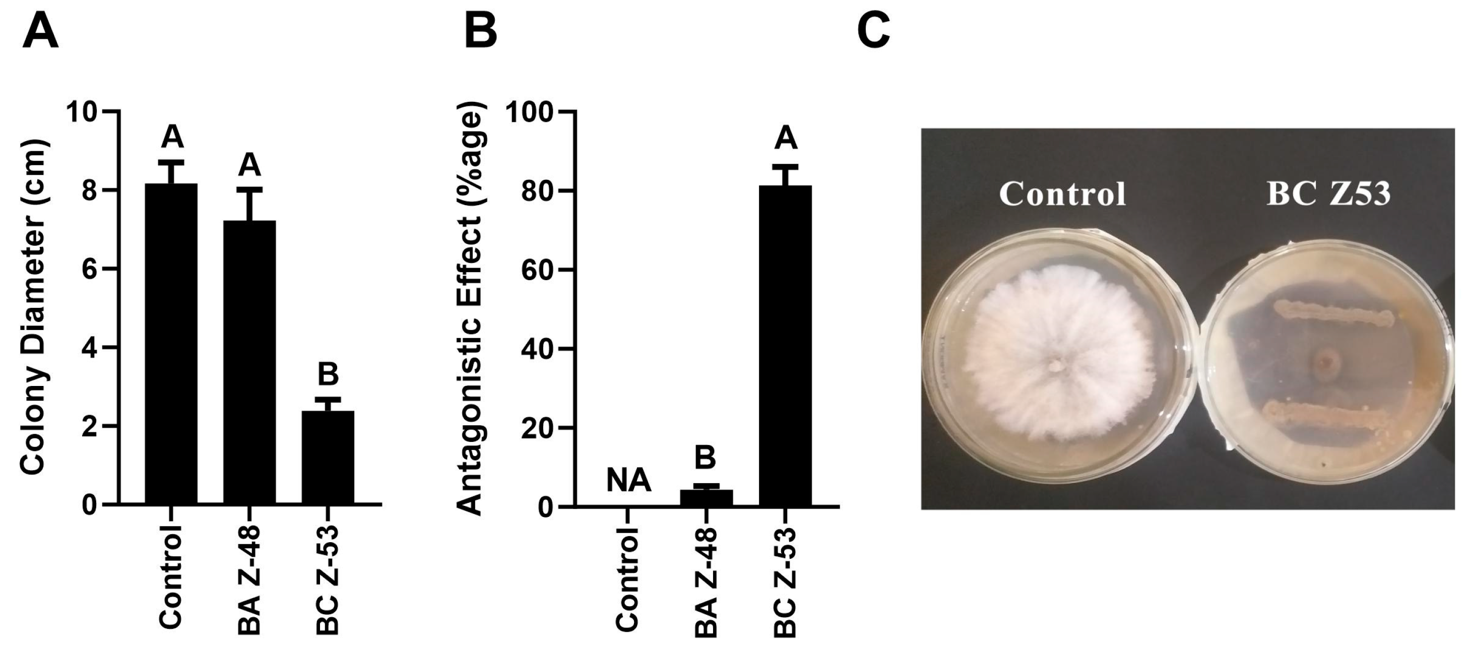Microorganisms 12 00792 g001