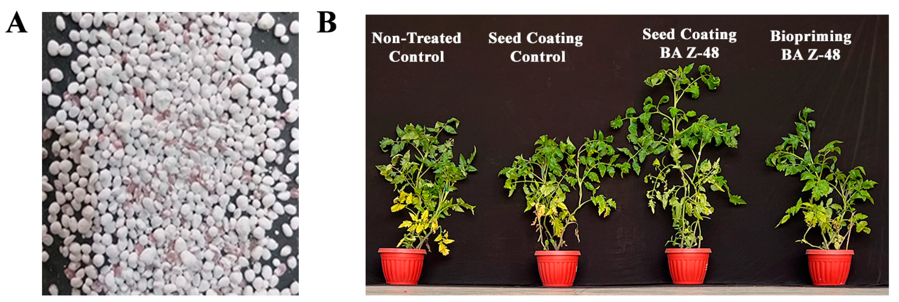 Microorganisms 12 00792 g003