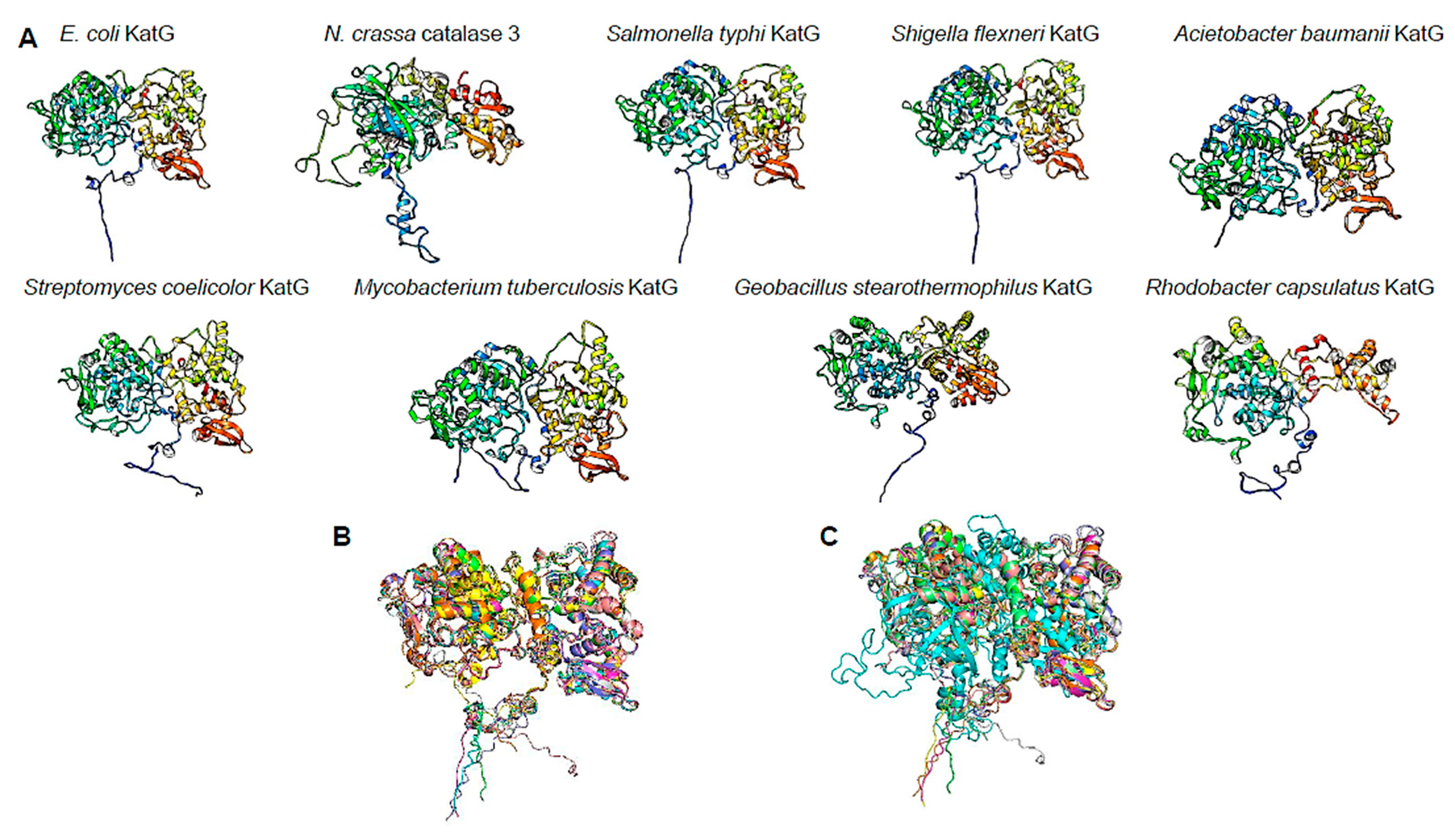 Microorganisms 12 00793 g006