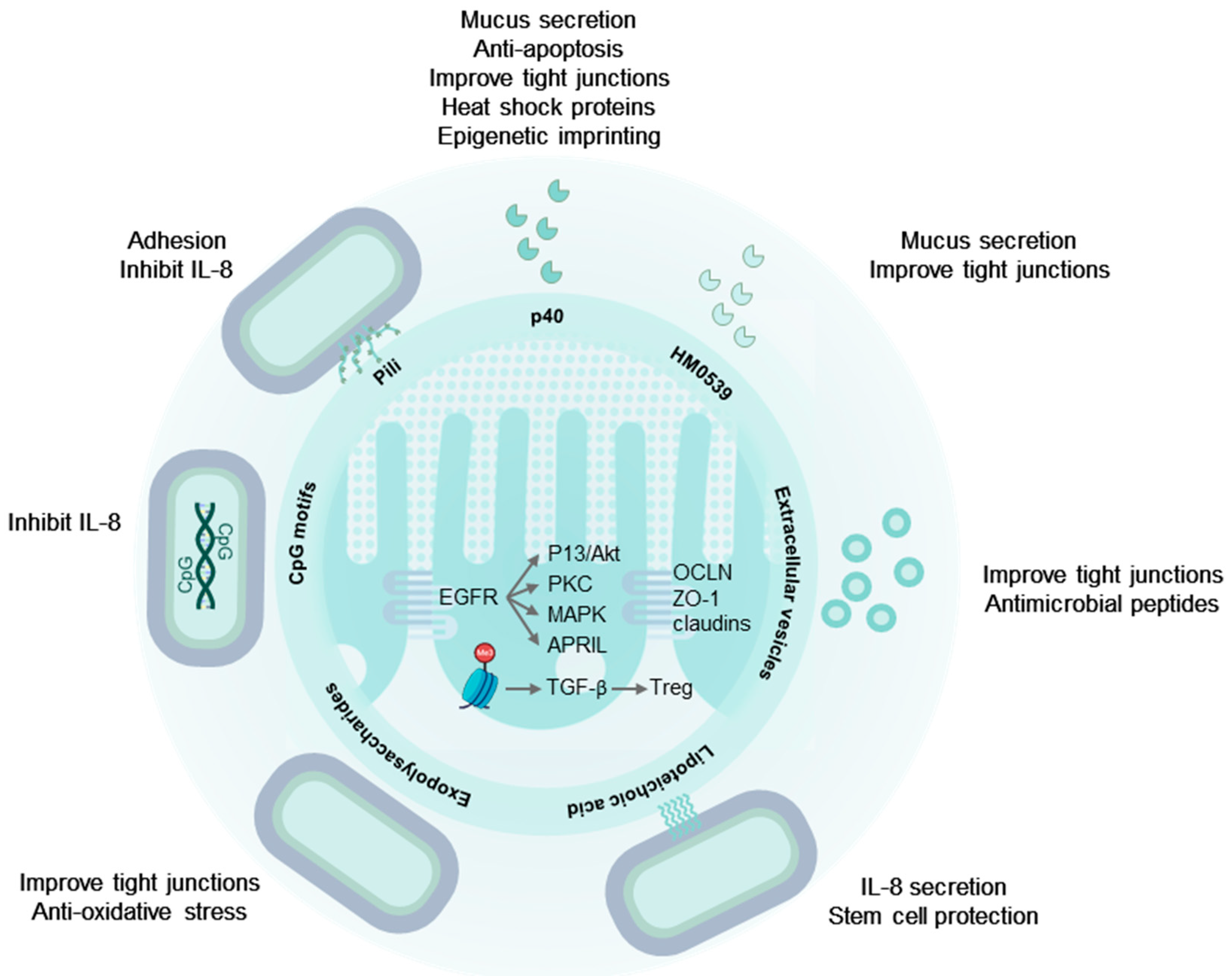 Microorganisms 12 00794 g001