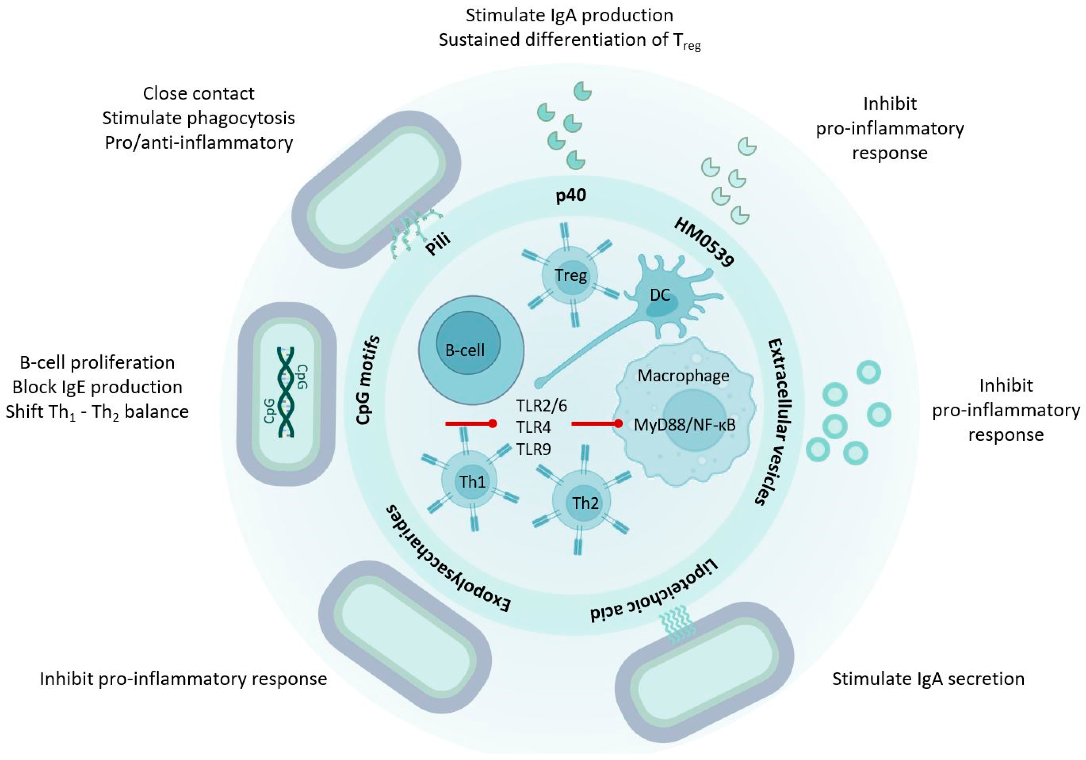 Microorganisms 12 00794 g002