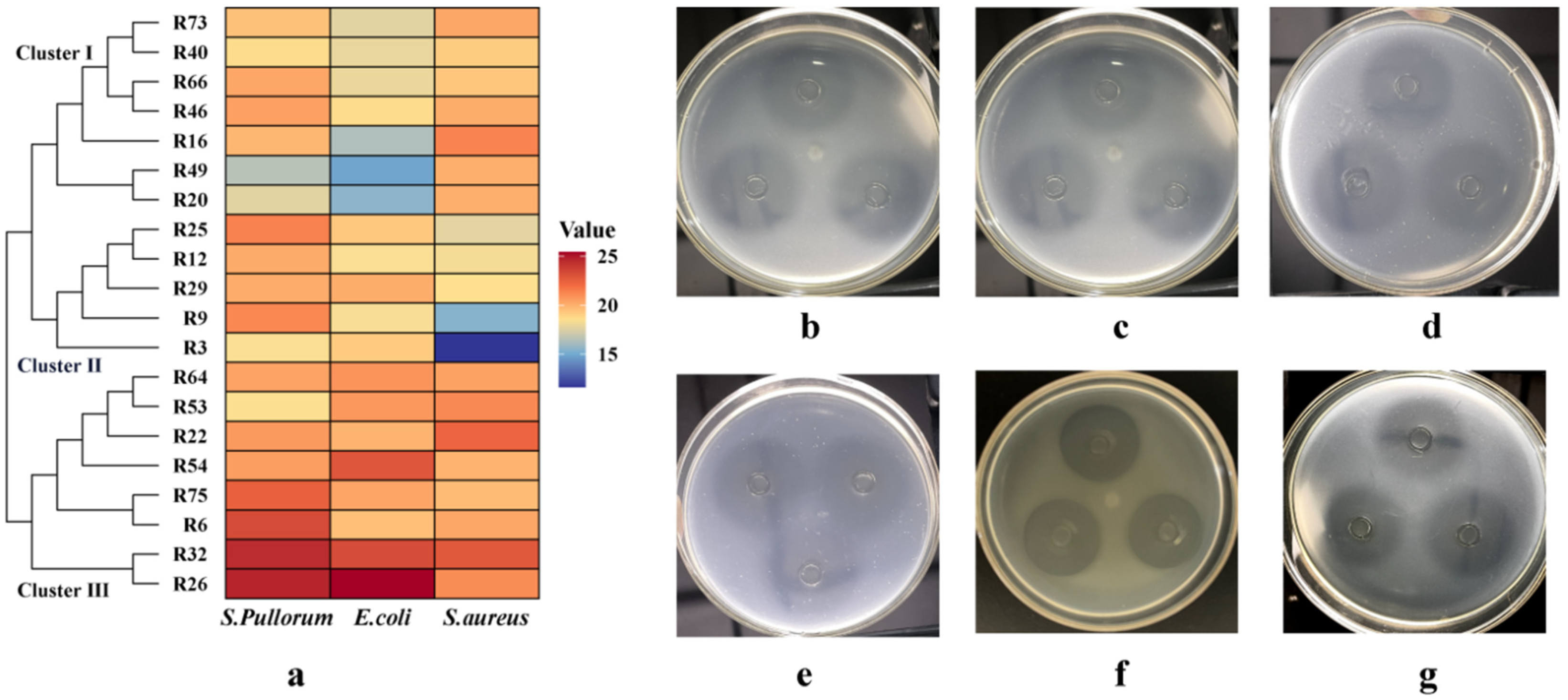 Microorganisms 12 00795 g002