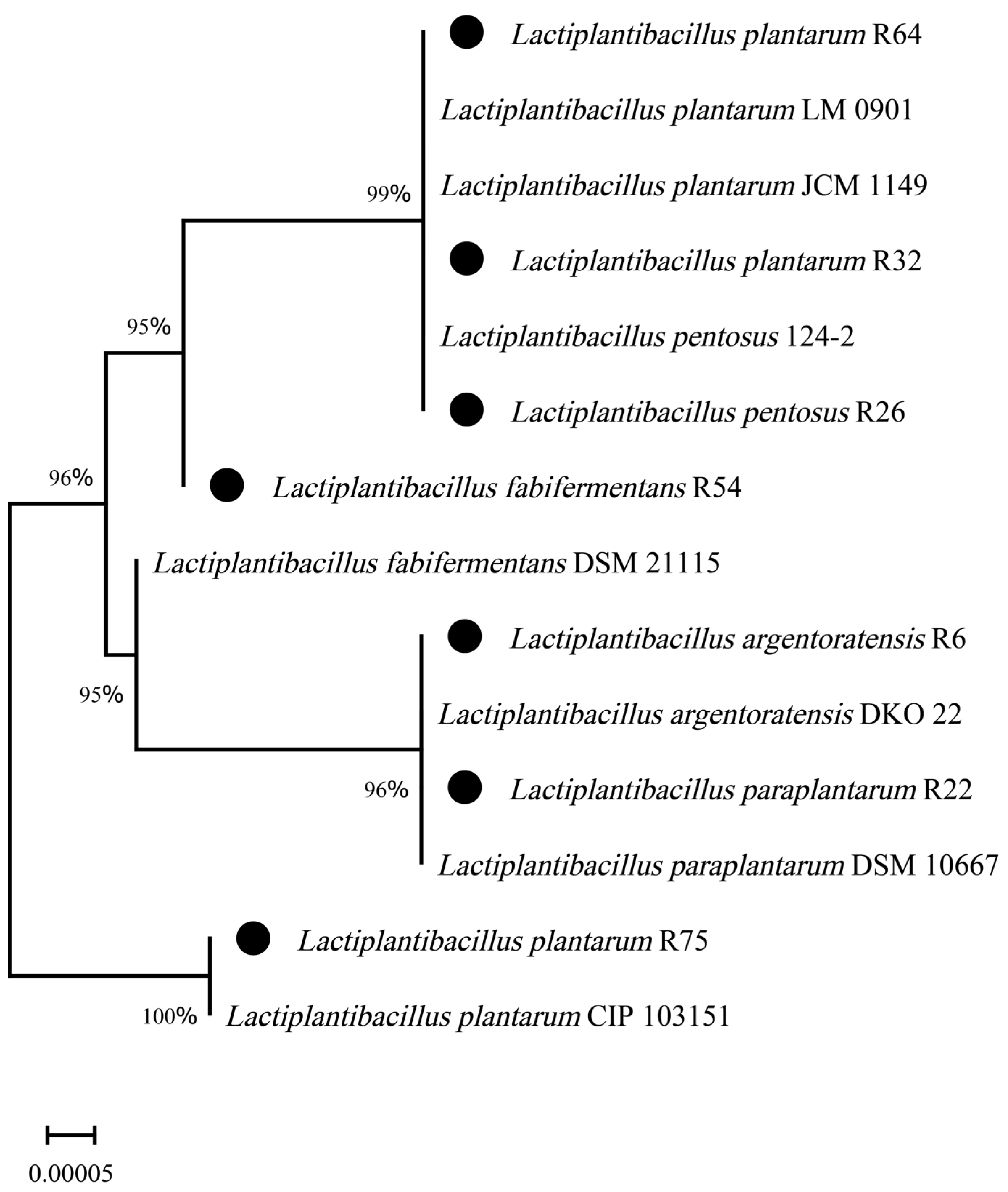 Microorganisms 12 00795 g003