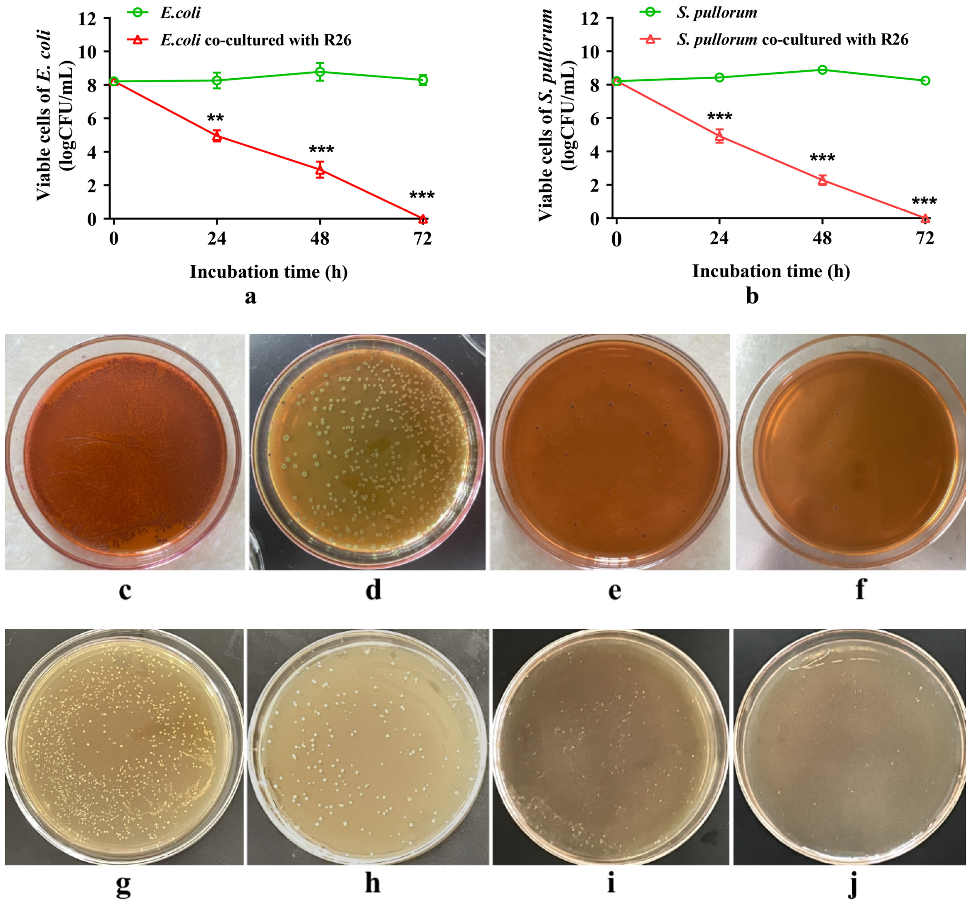 Microorganisms 12 00795 g005