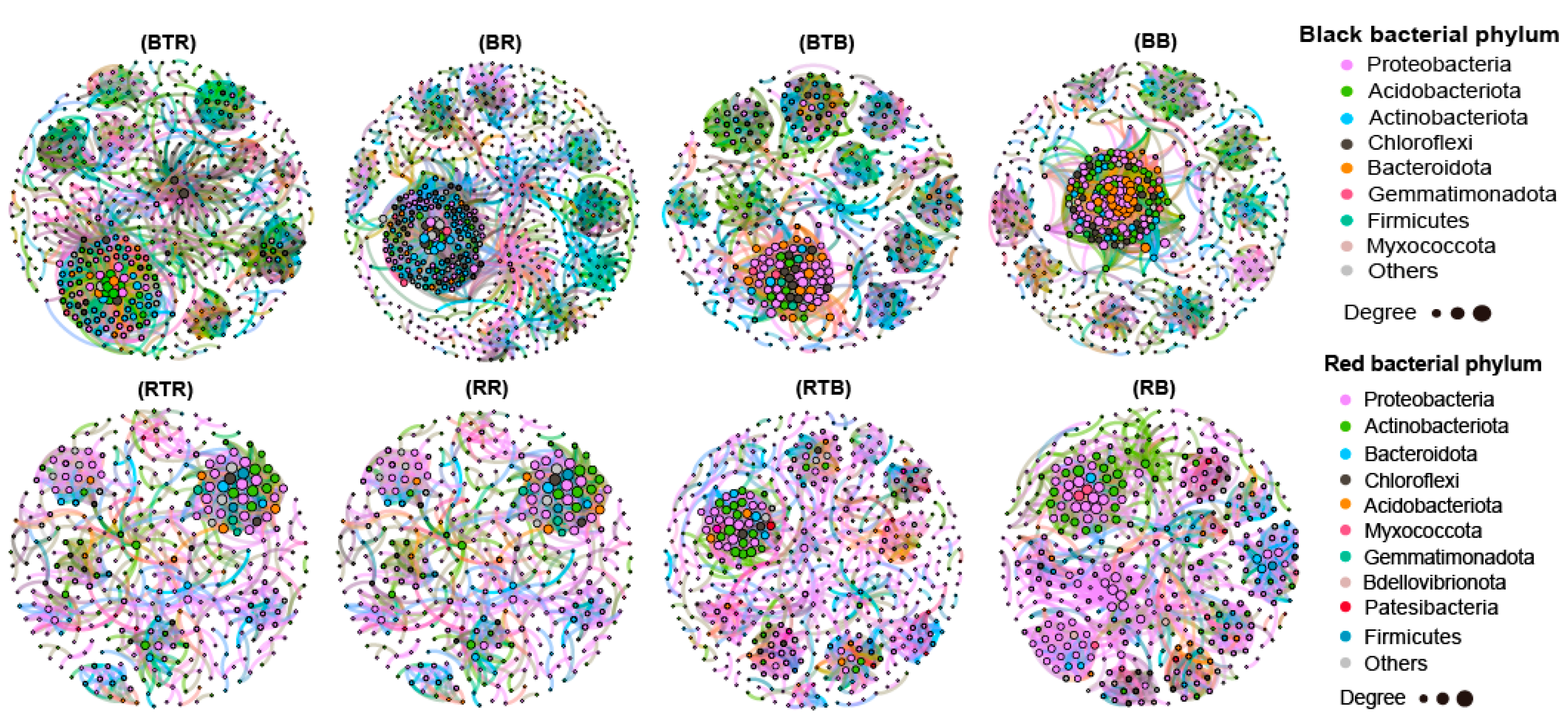 Microorganisms 12 00797 g005