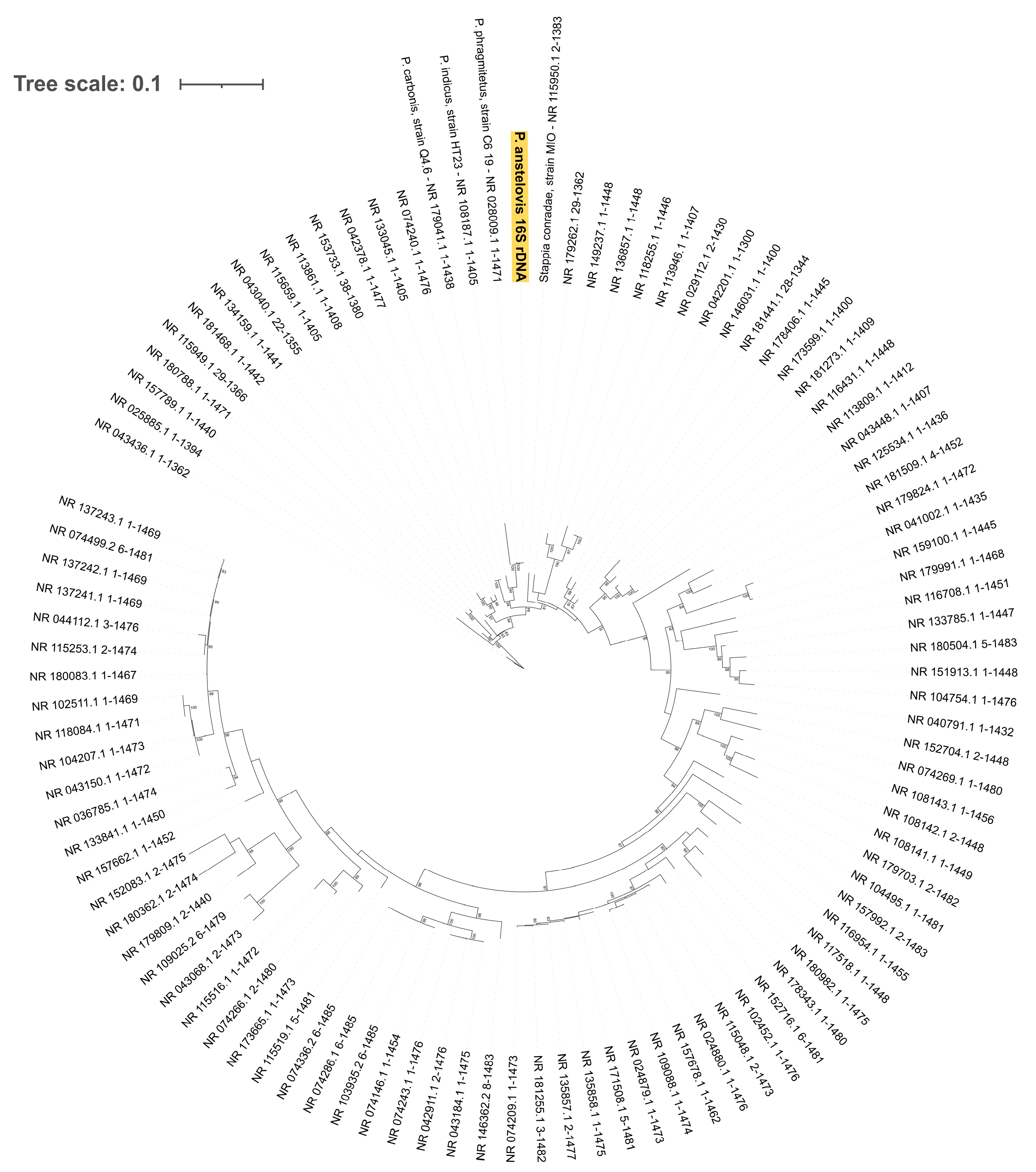 Microorganisms 12 00799 g002