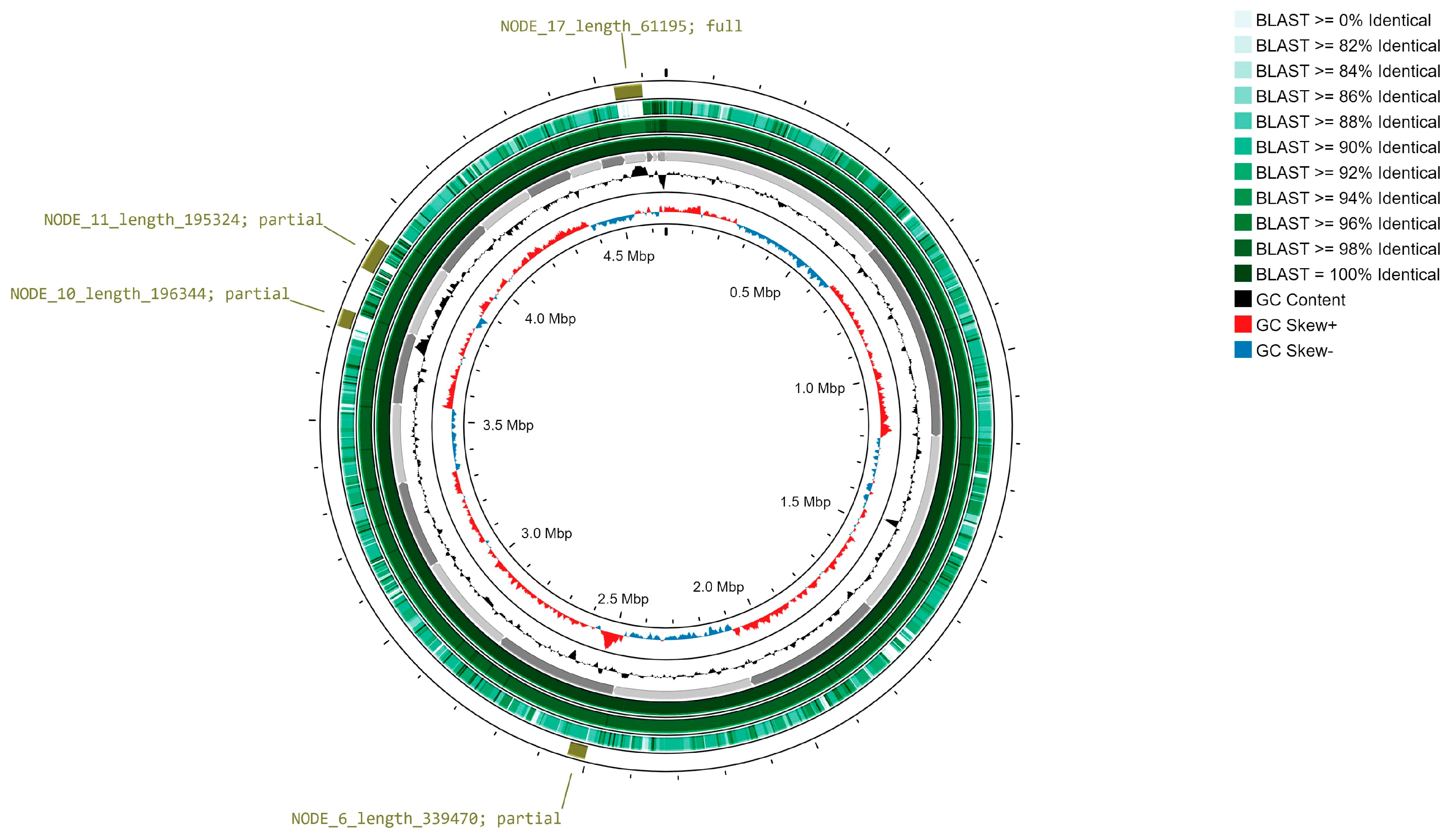 Microorganisms 12 00799 g003