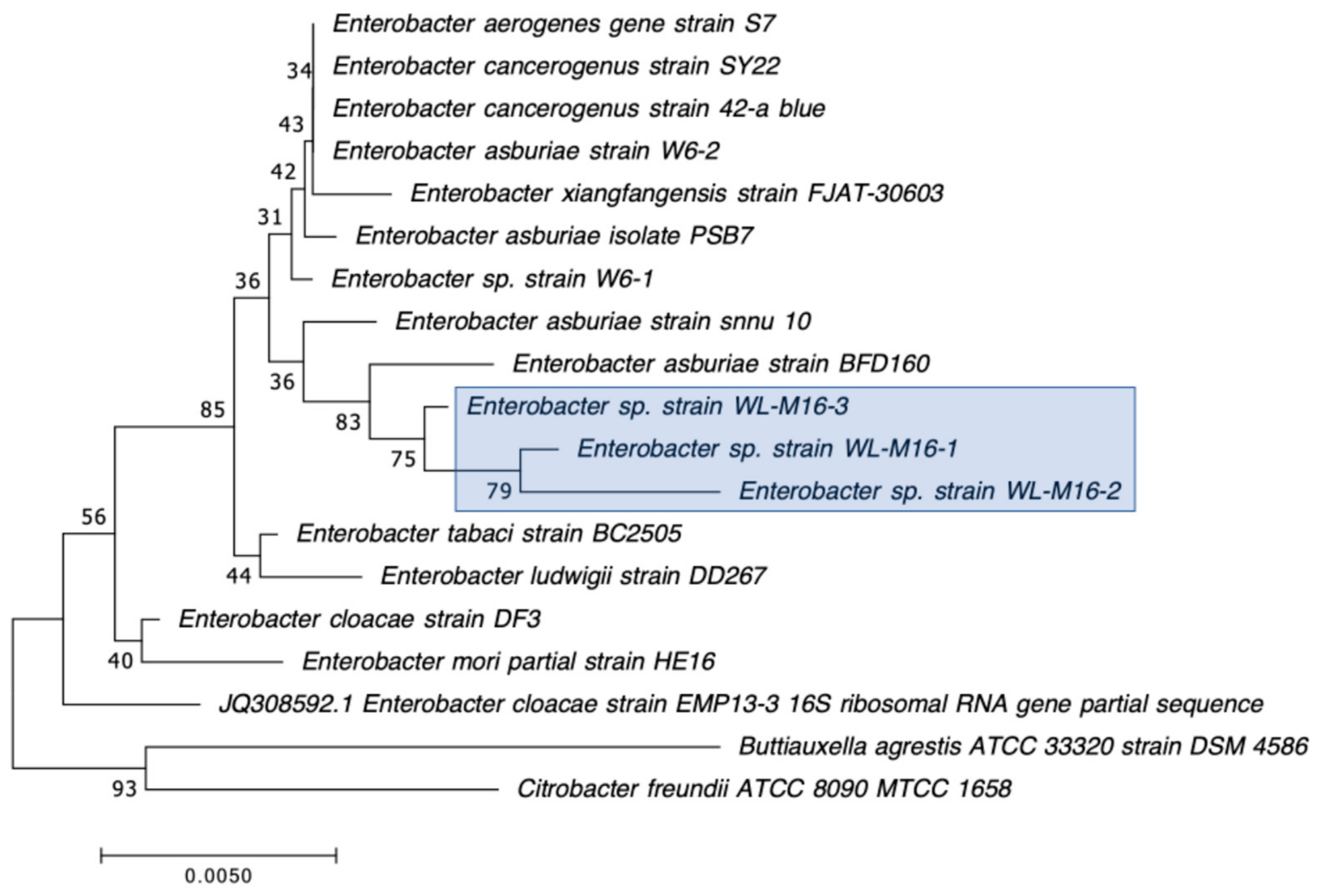 Microorganisms 12 00802 g004