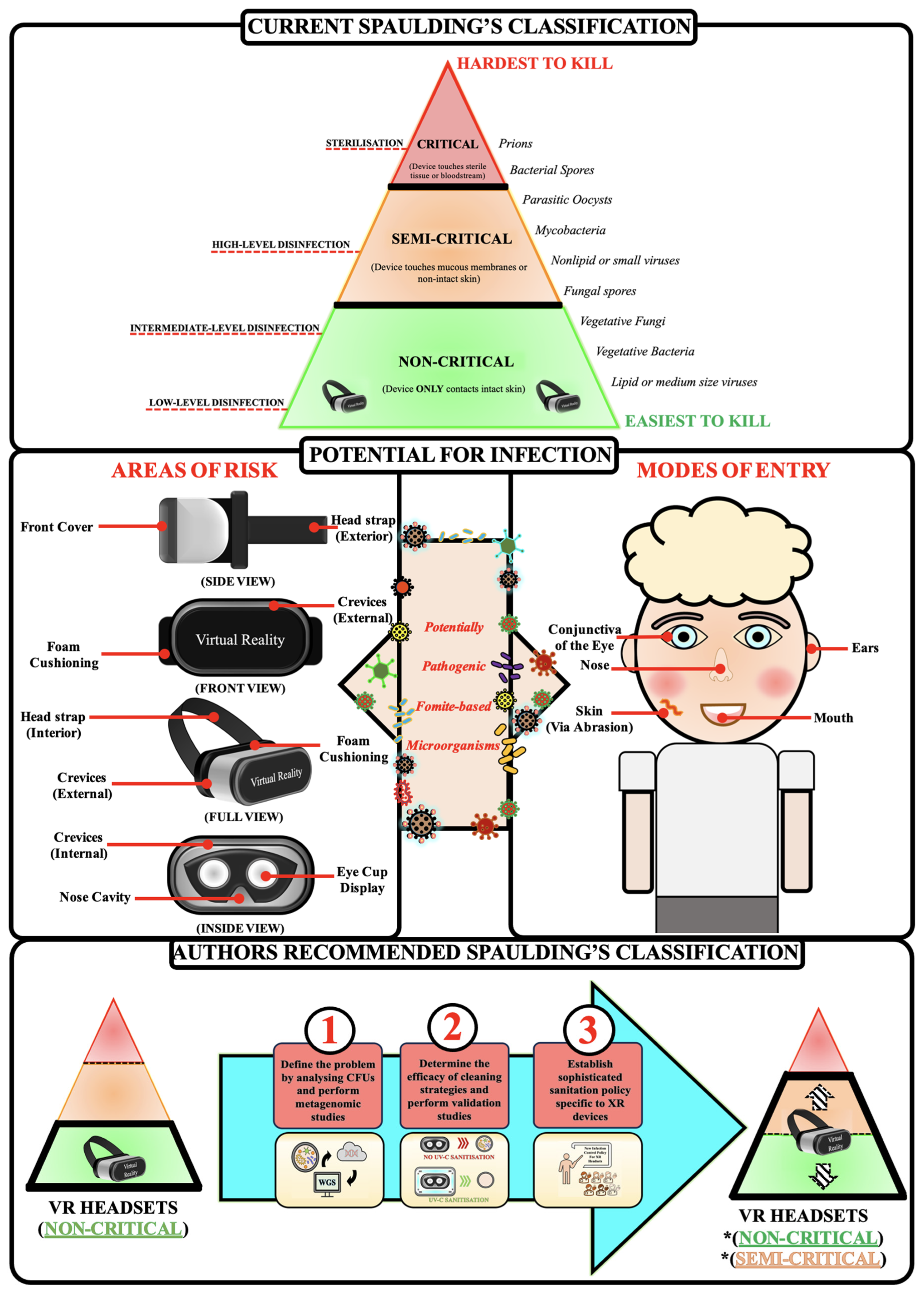 Microorganisms 12 00815 g003