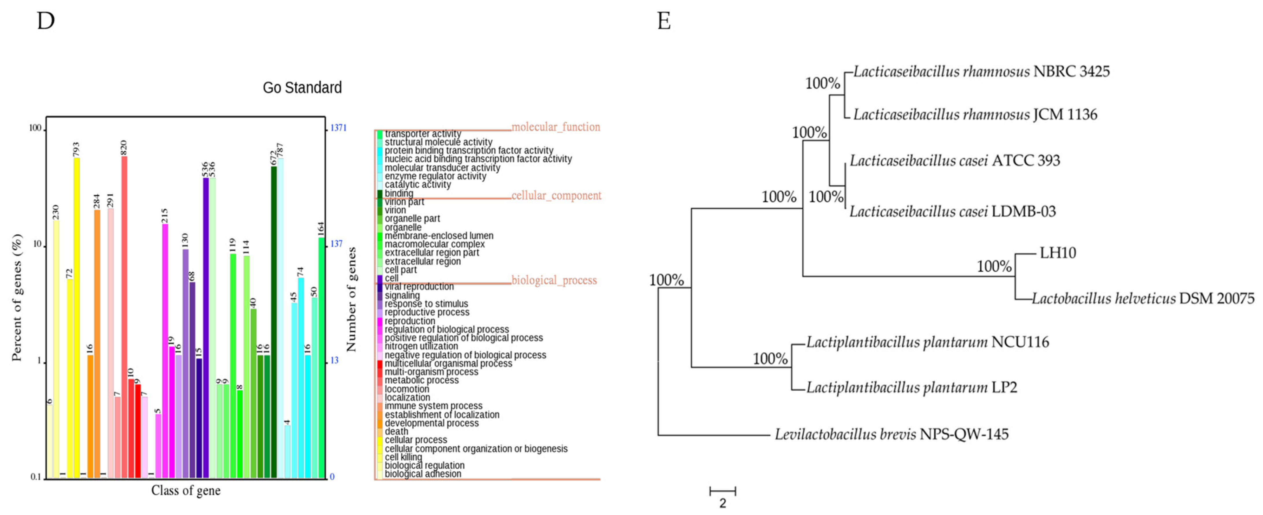 Microorganisms 12 00831 g001c