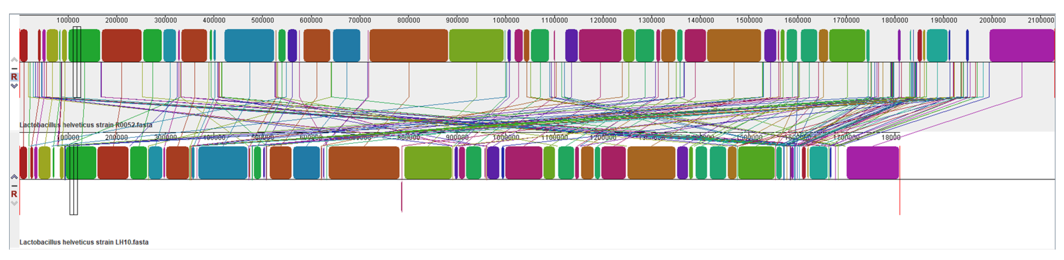 Microorganisms 12 00831 g003