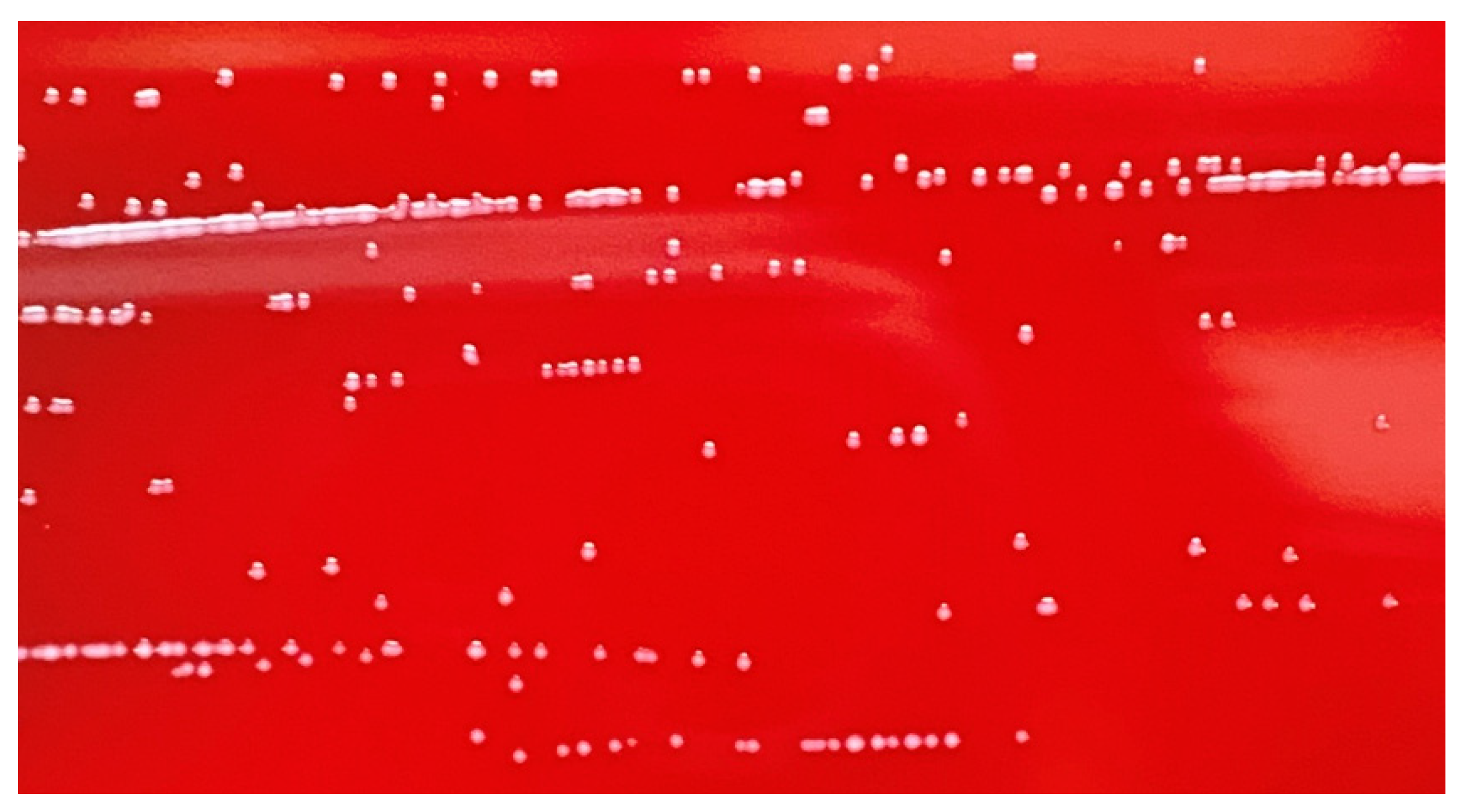 Microorganisms 12 00831 g004