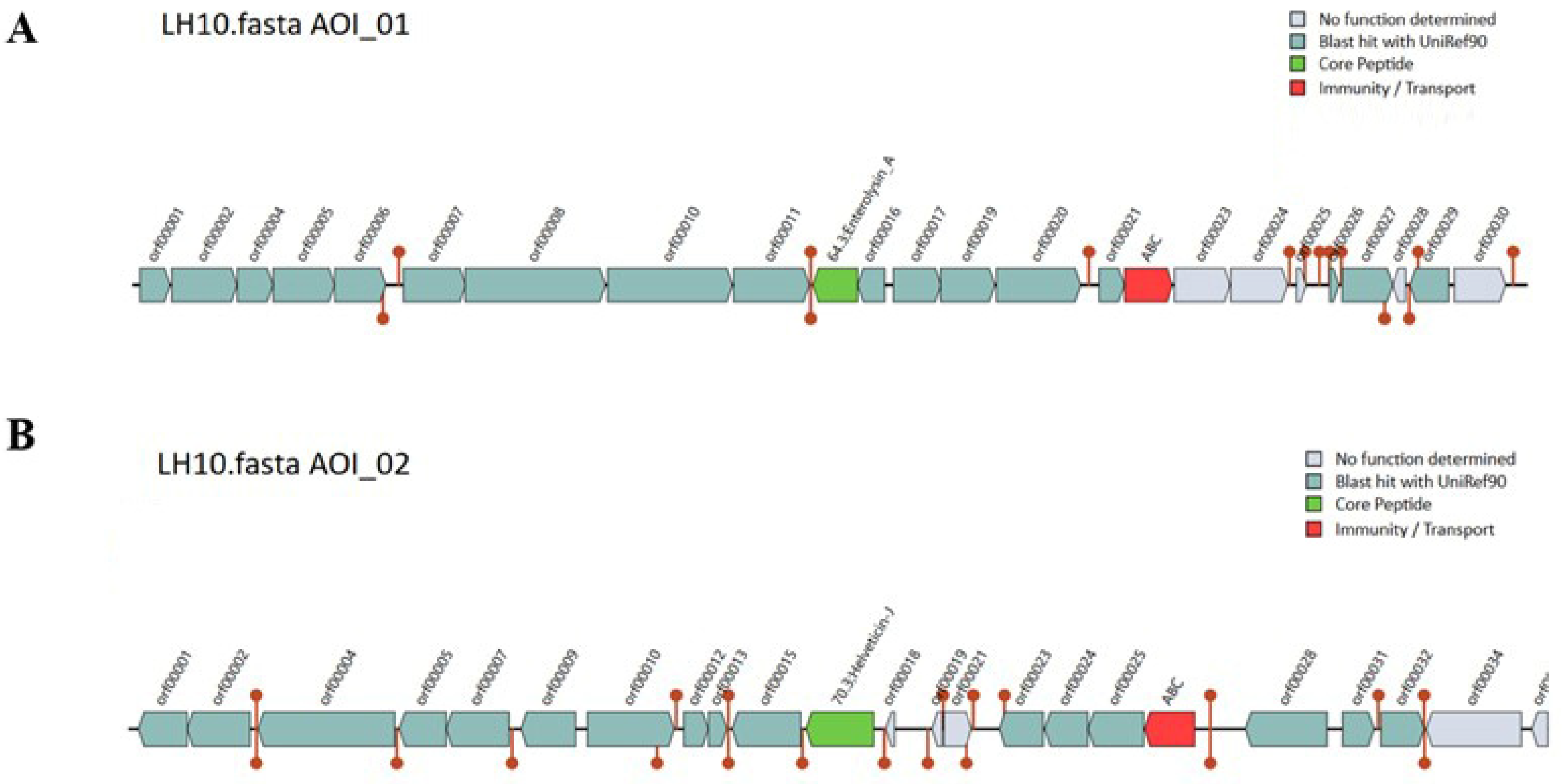Microorganisms 12 00831 g007