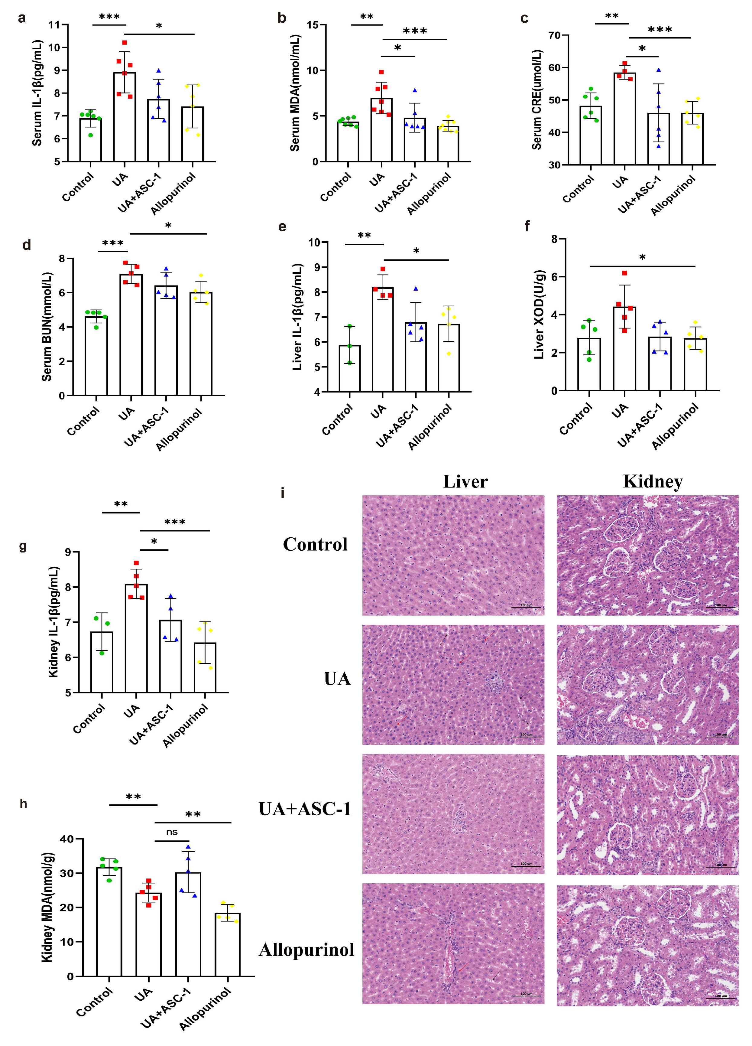 Microorganisms 12 00832 g004