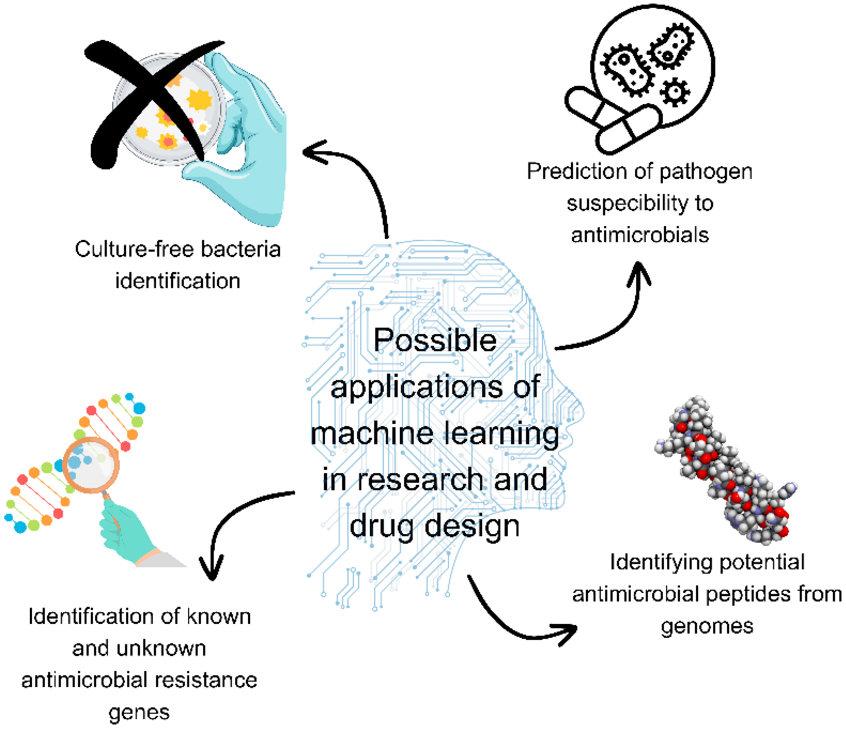 Microorganisms 12 00842 g001