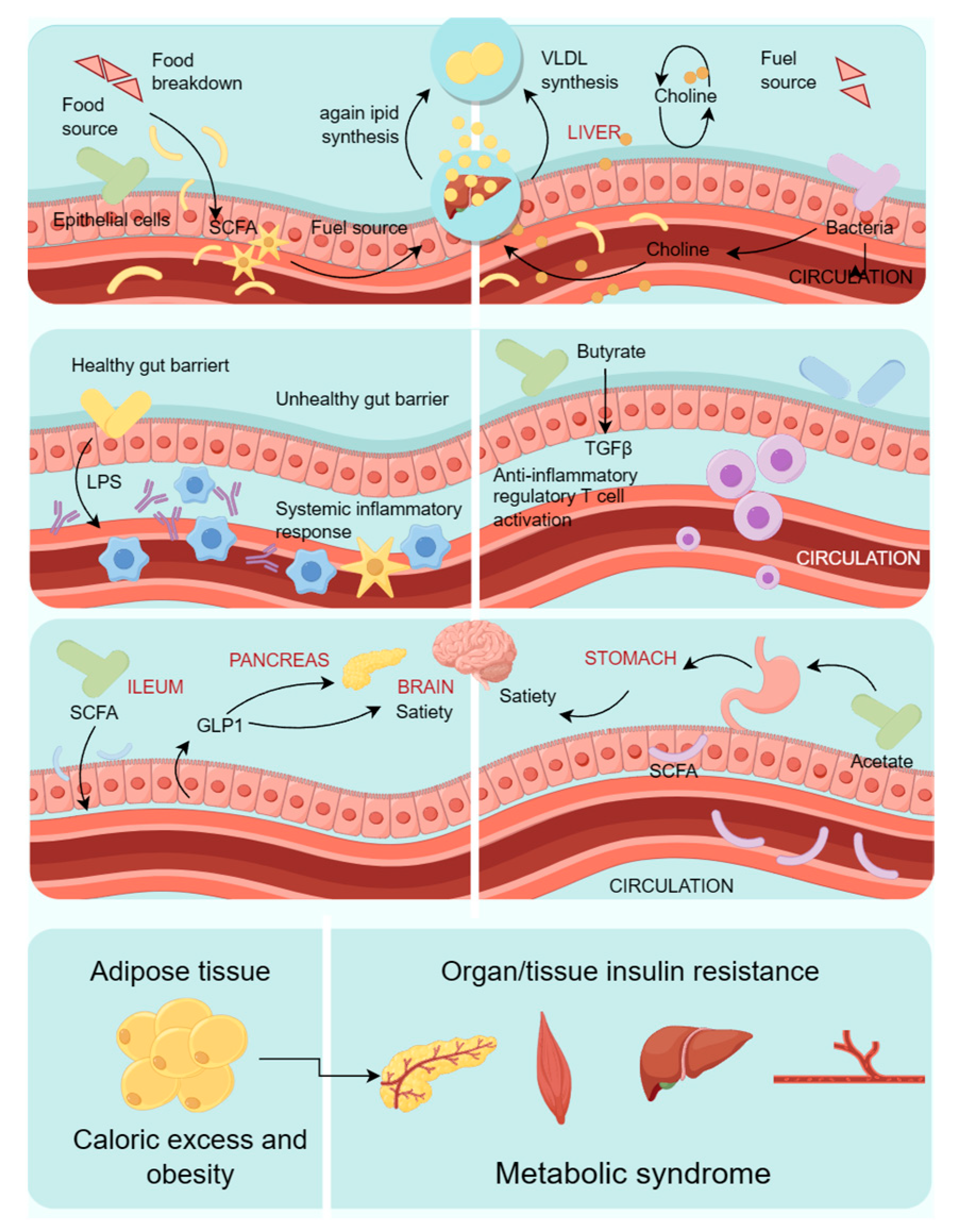 Microorganisms 12 00851 g002
