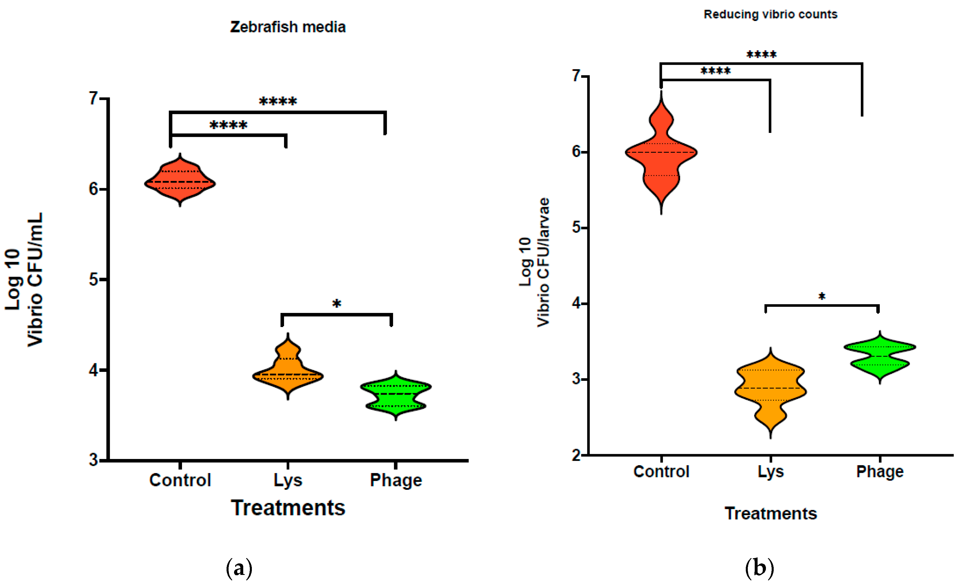 Microorganisms 12 00904 g004