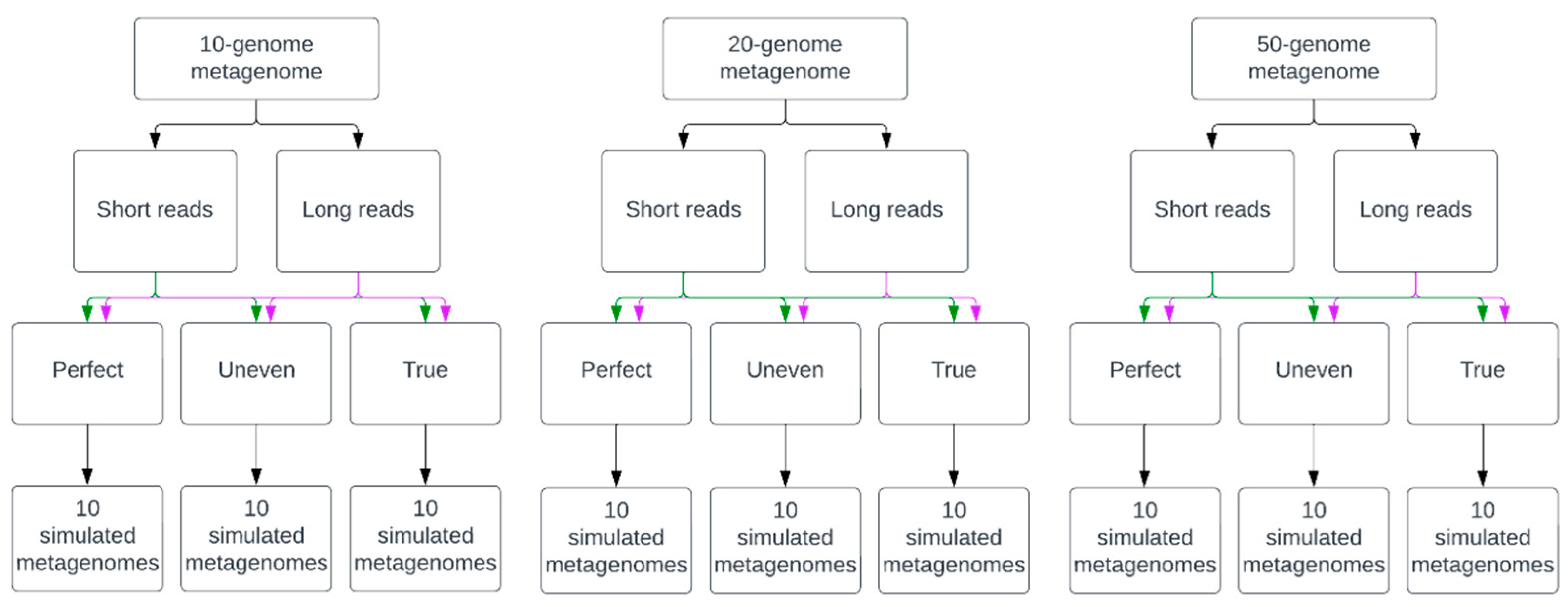 Microorganisms 12 00935 g001