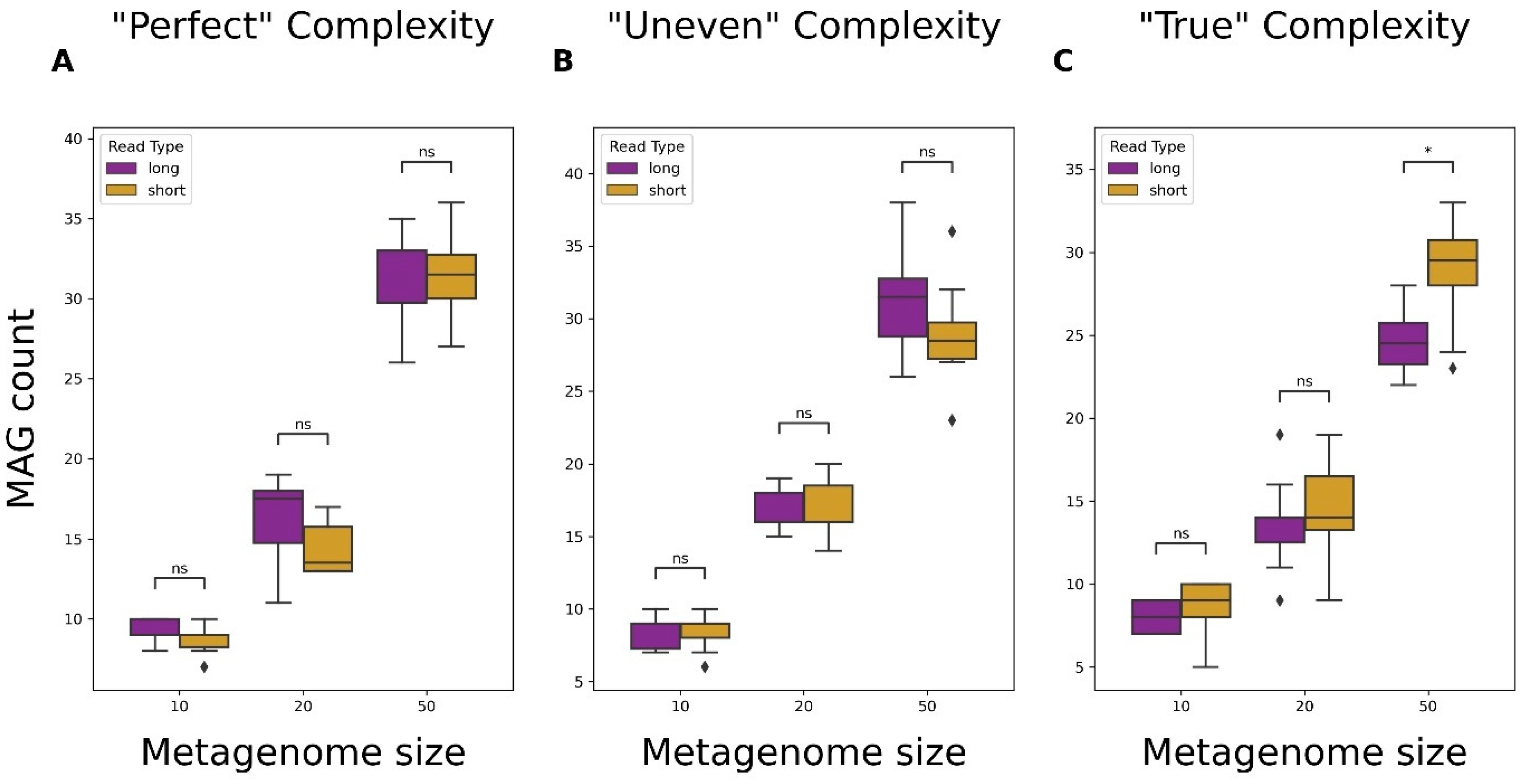 Microorganisms 12 00935 g006