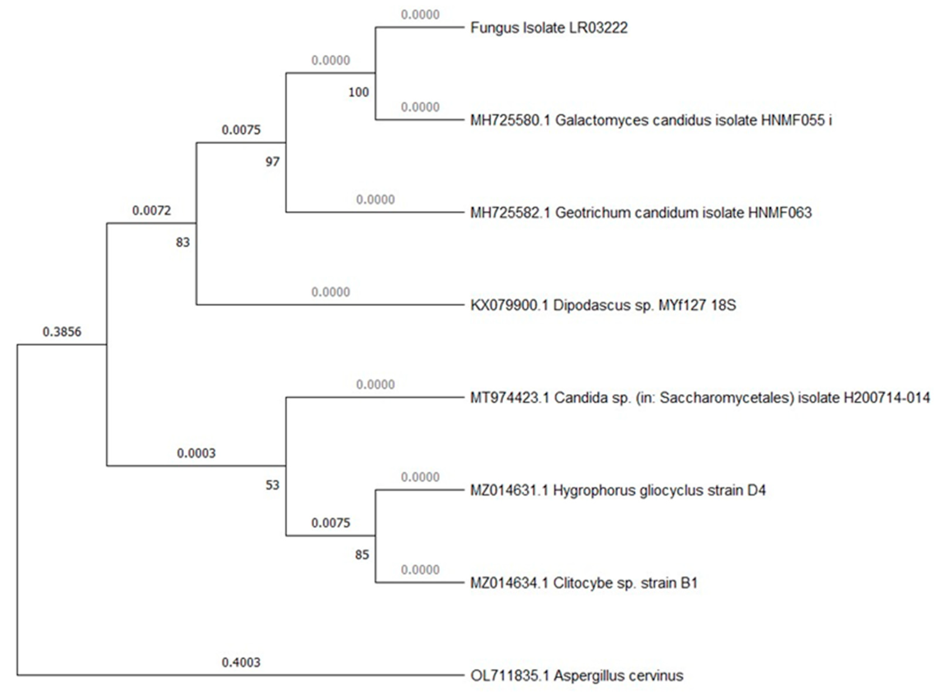 Microorganisms 12 00937 g003