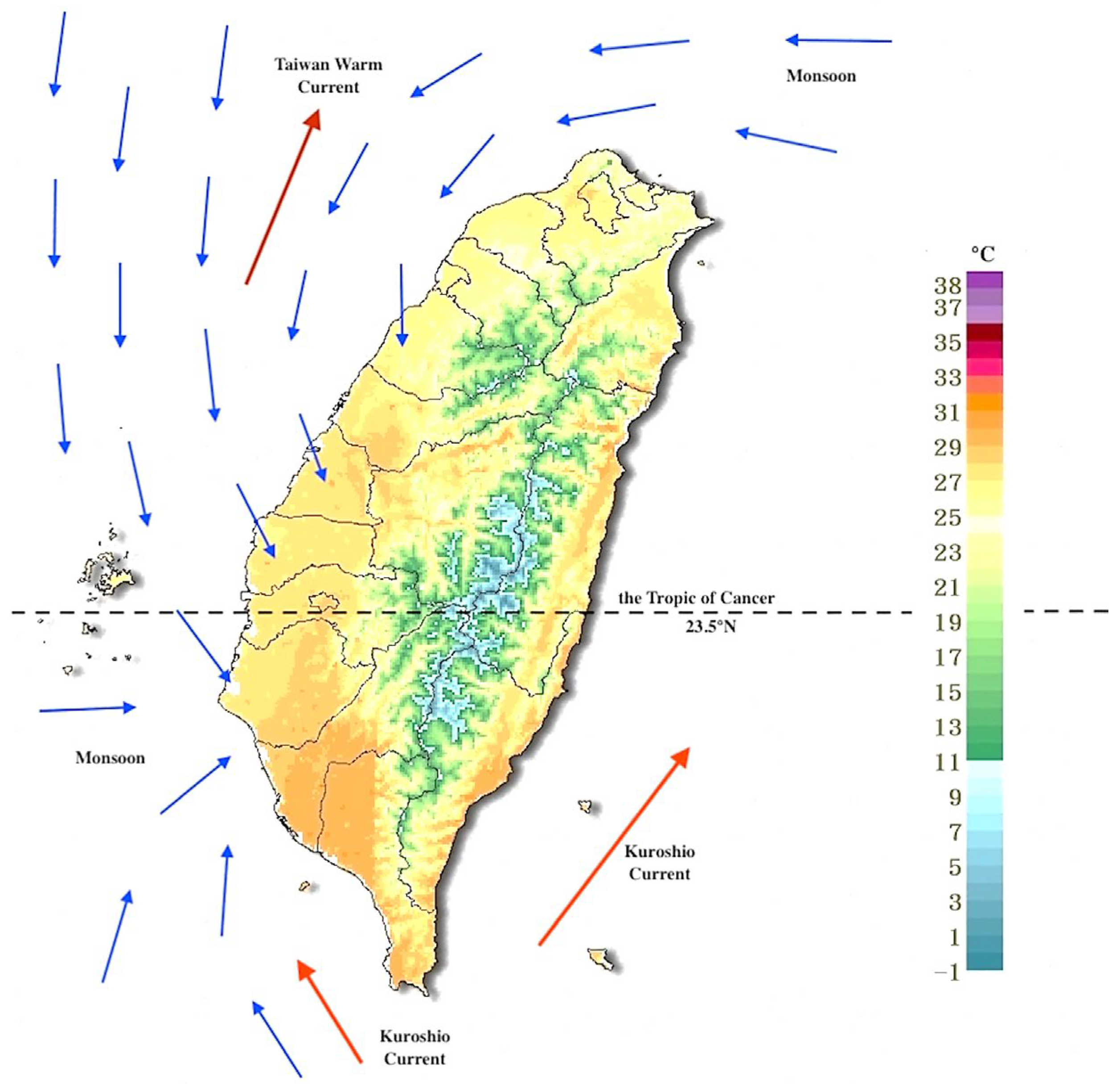 Microorganisms 12 00947 g002