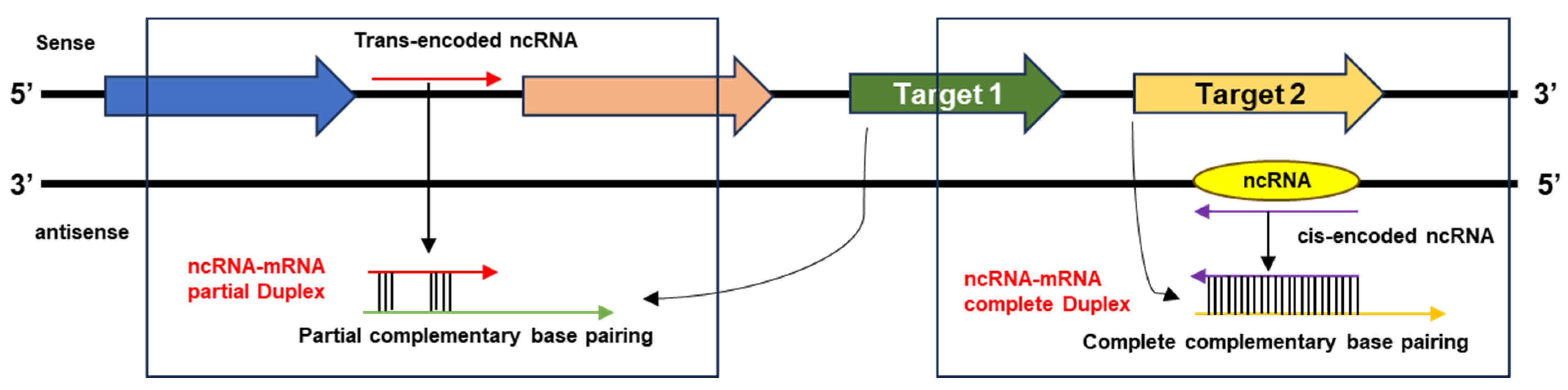 Microorganisms 12 00960 g001 Microorganisms 12 00960 g001