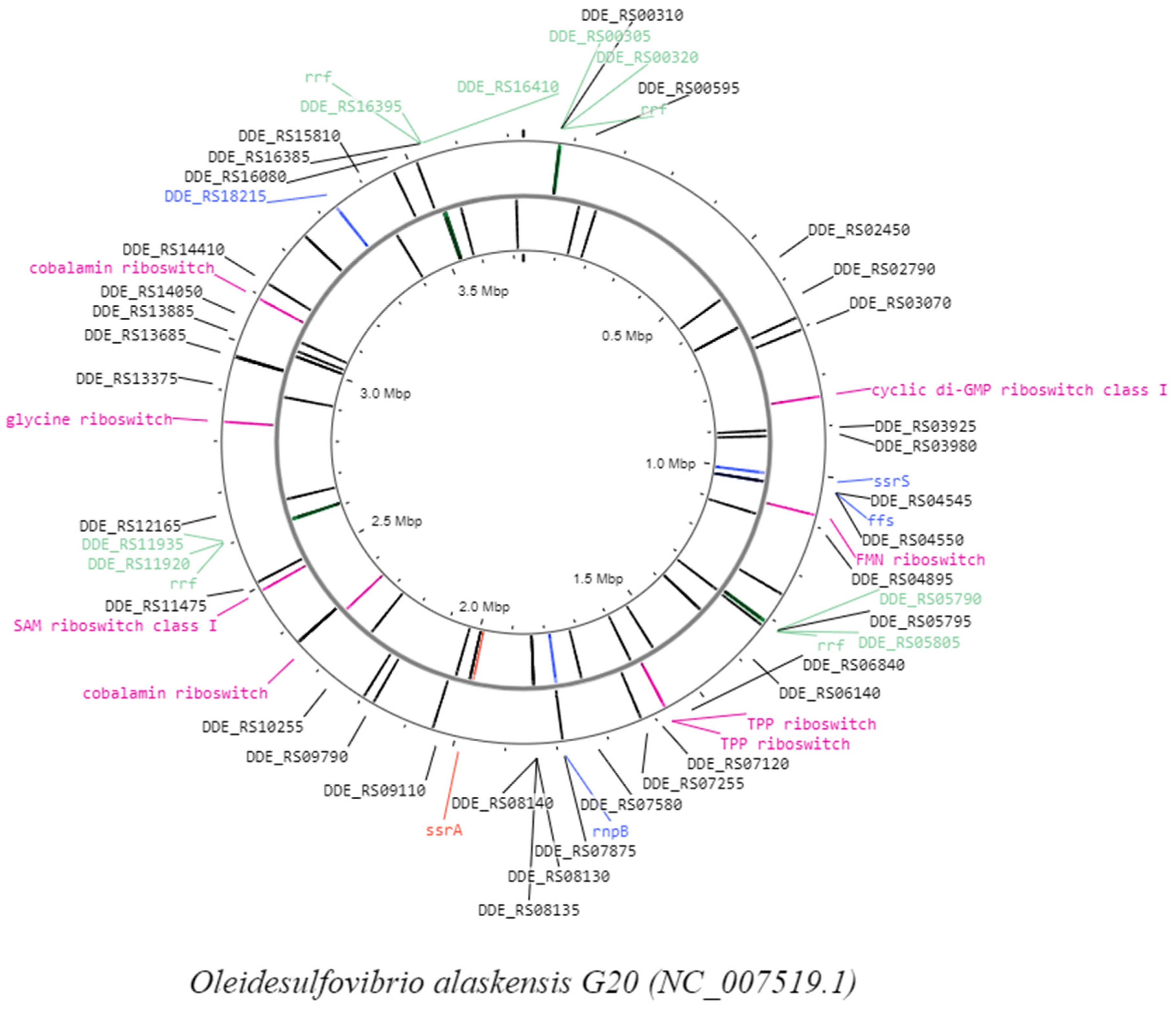 Microorganisms 12 00960 g003 Microorganisms 12 00960 g003