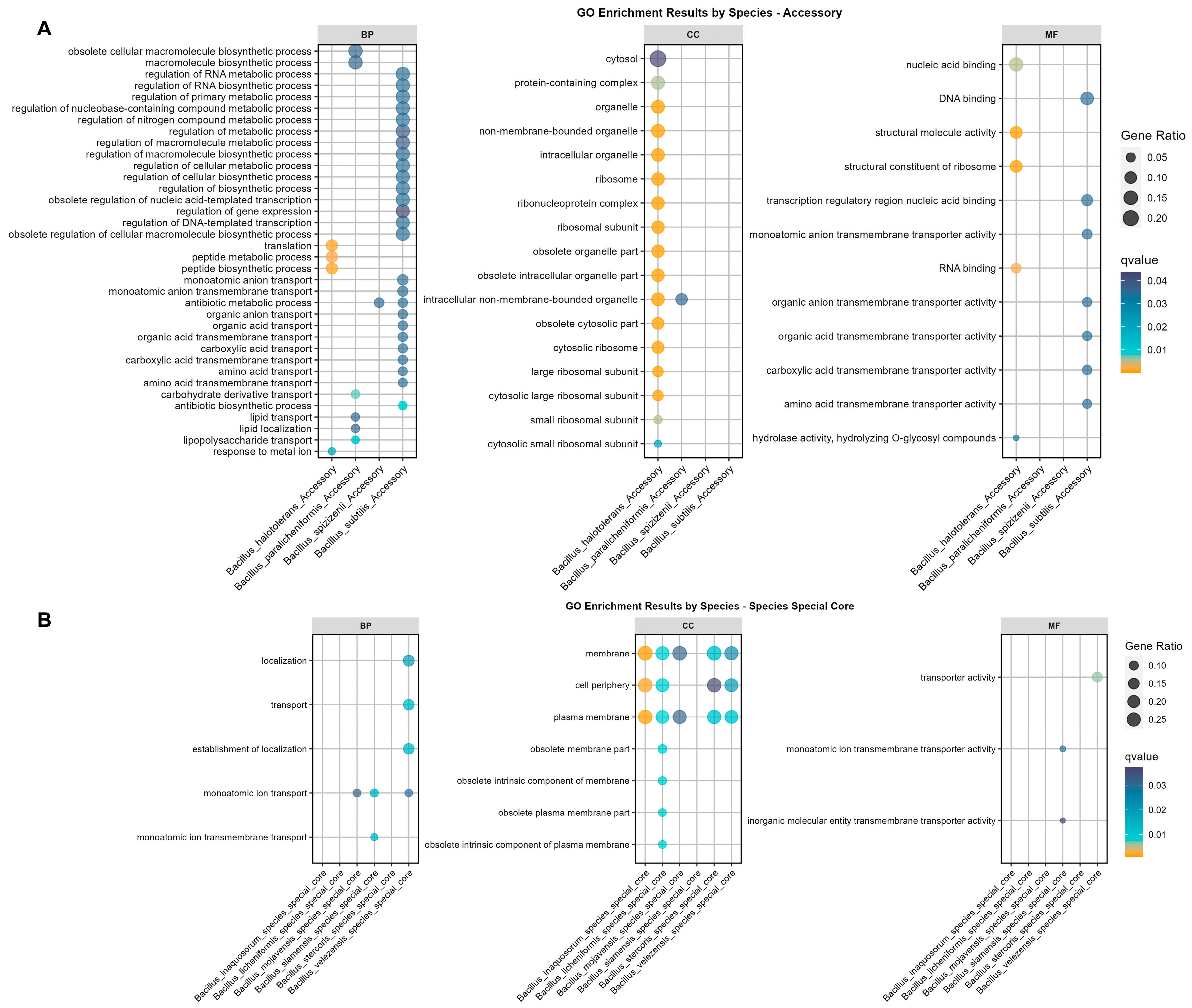 Microorganisms 12 00986 g003