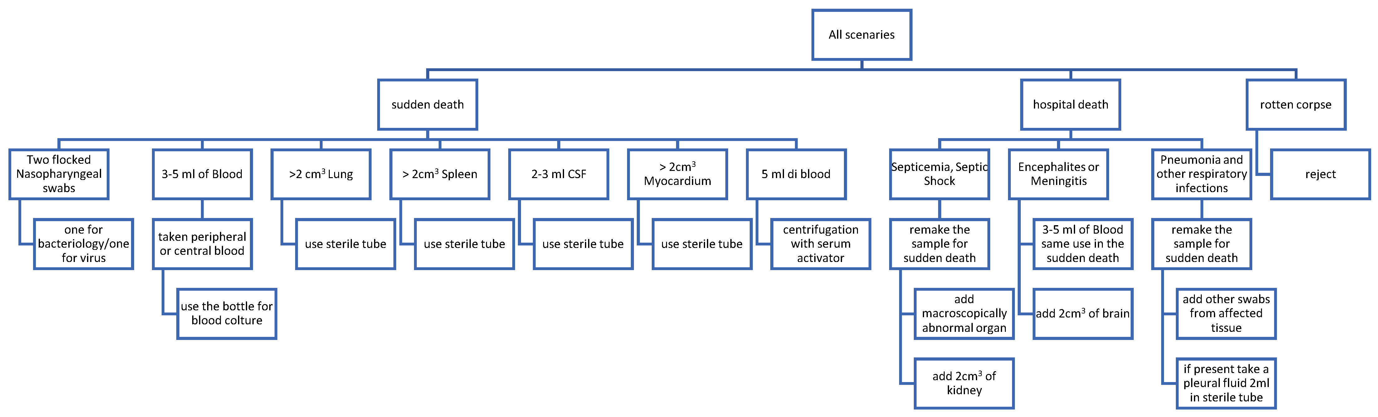 Microorganisms 12 00988 g001