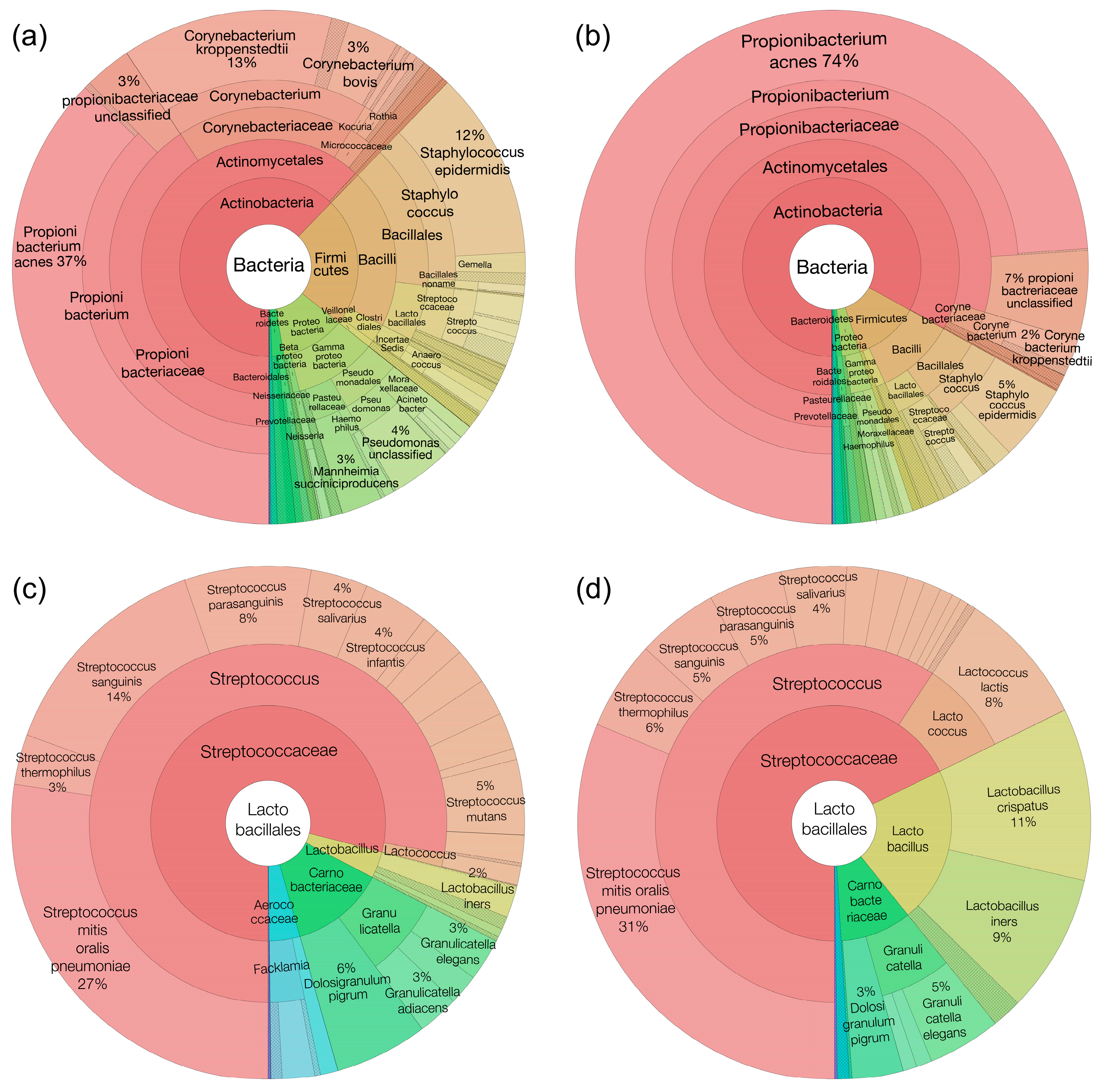Microorganisms 12 01021 g002