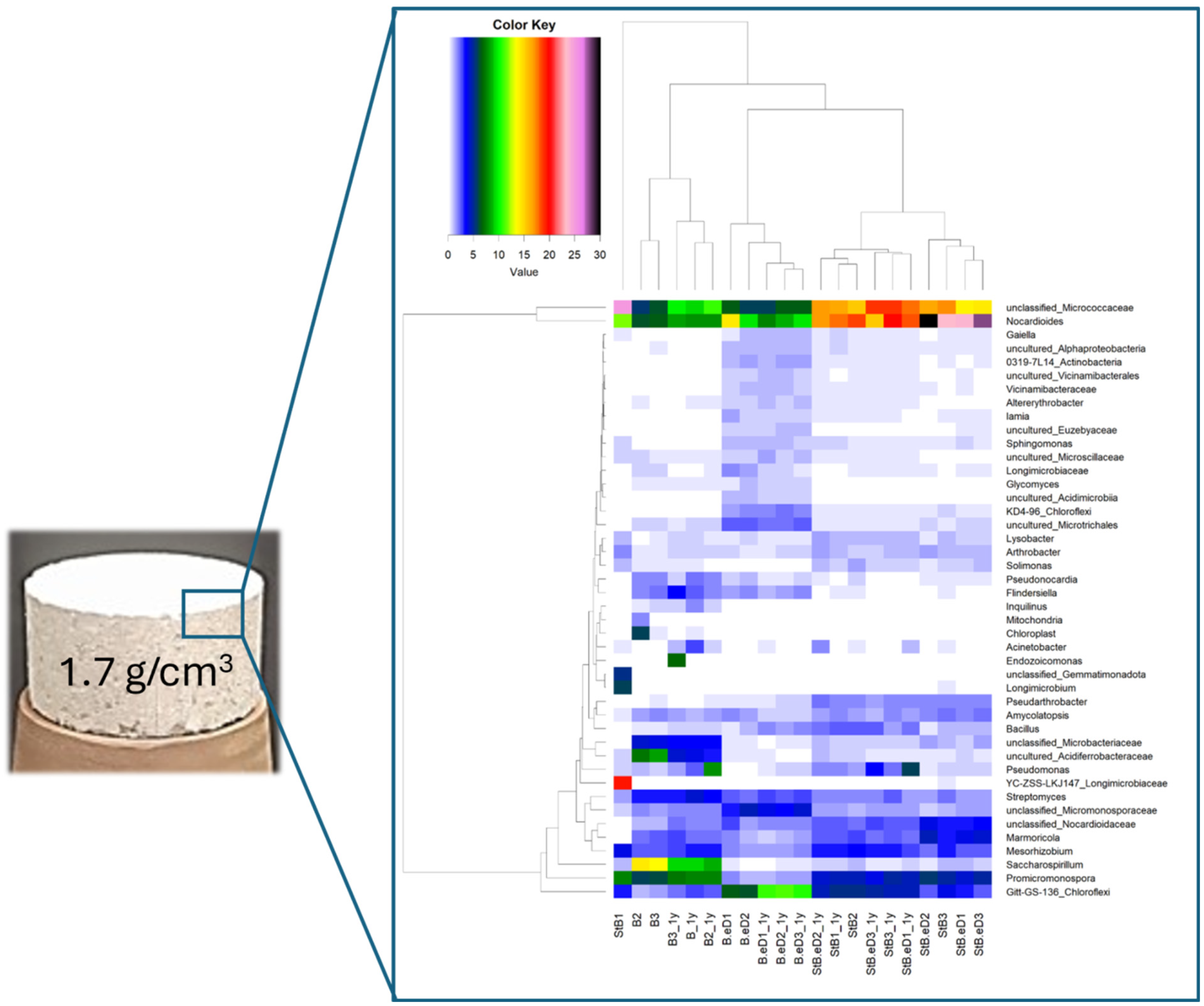 Microorganisms 12 01025 g001