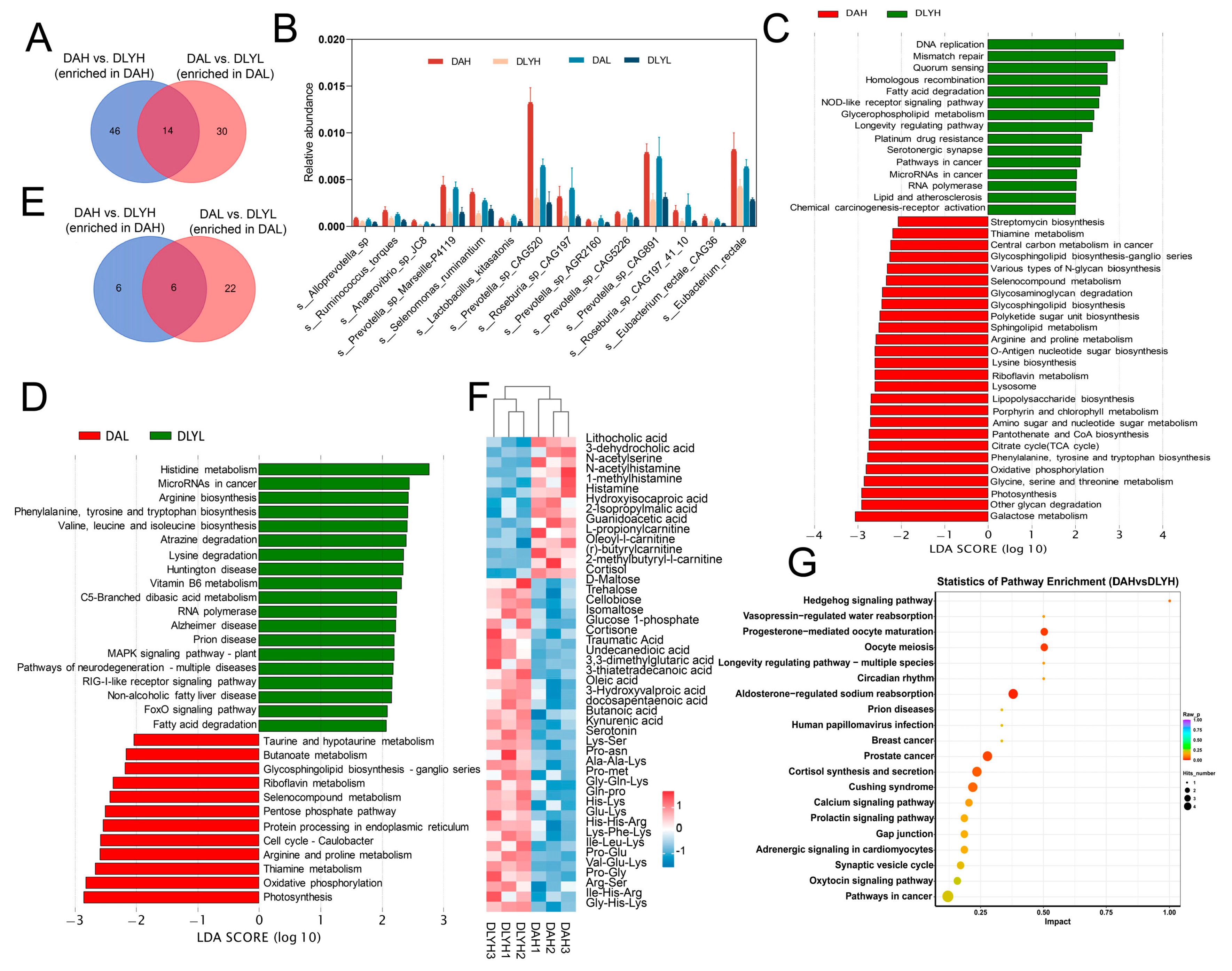 Microorganisms 12 01033 g004