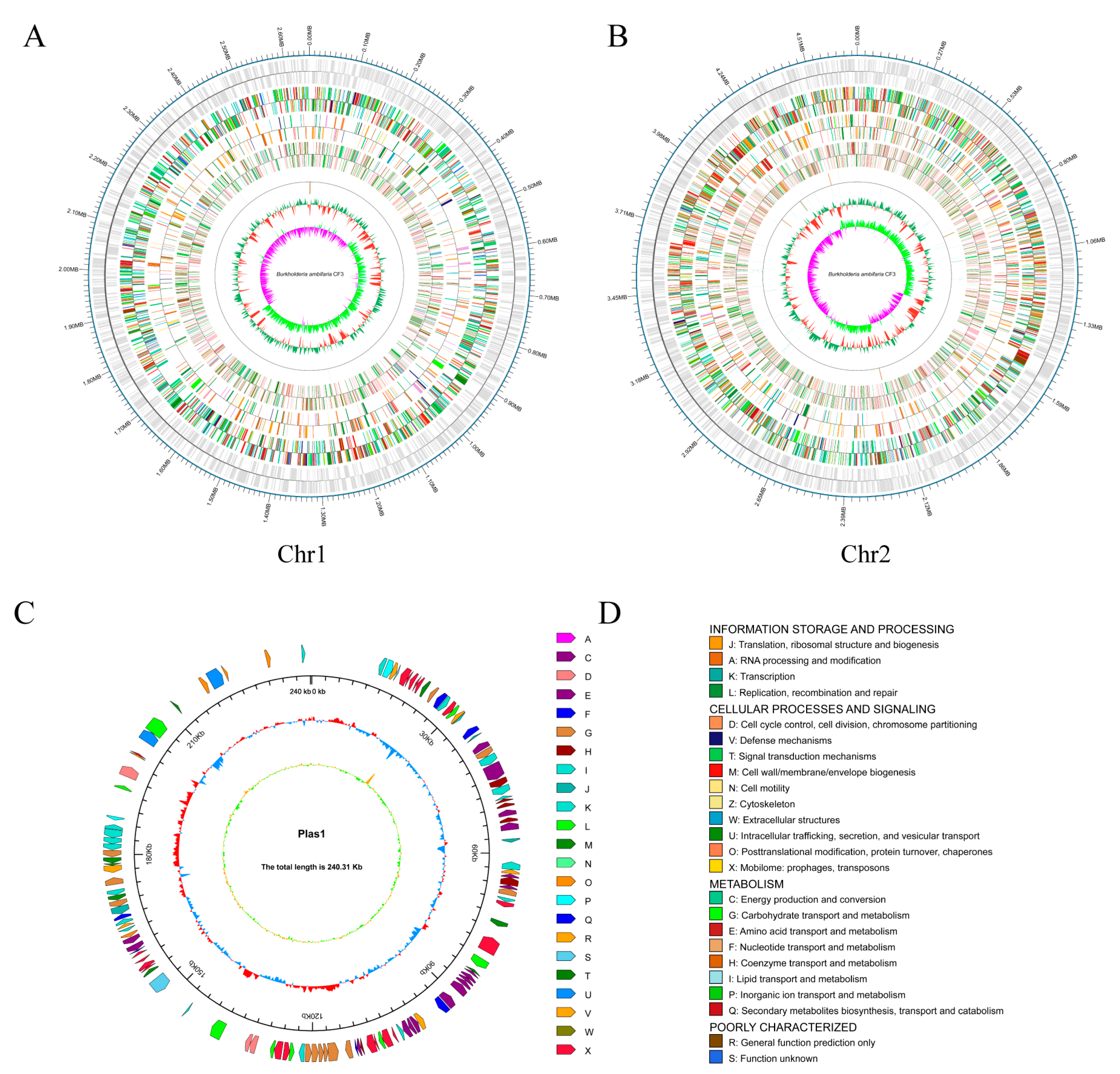 Microorganisms 12 01043 g004