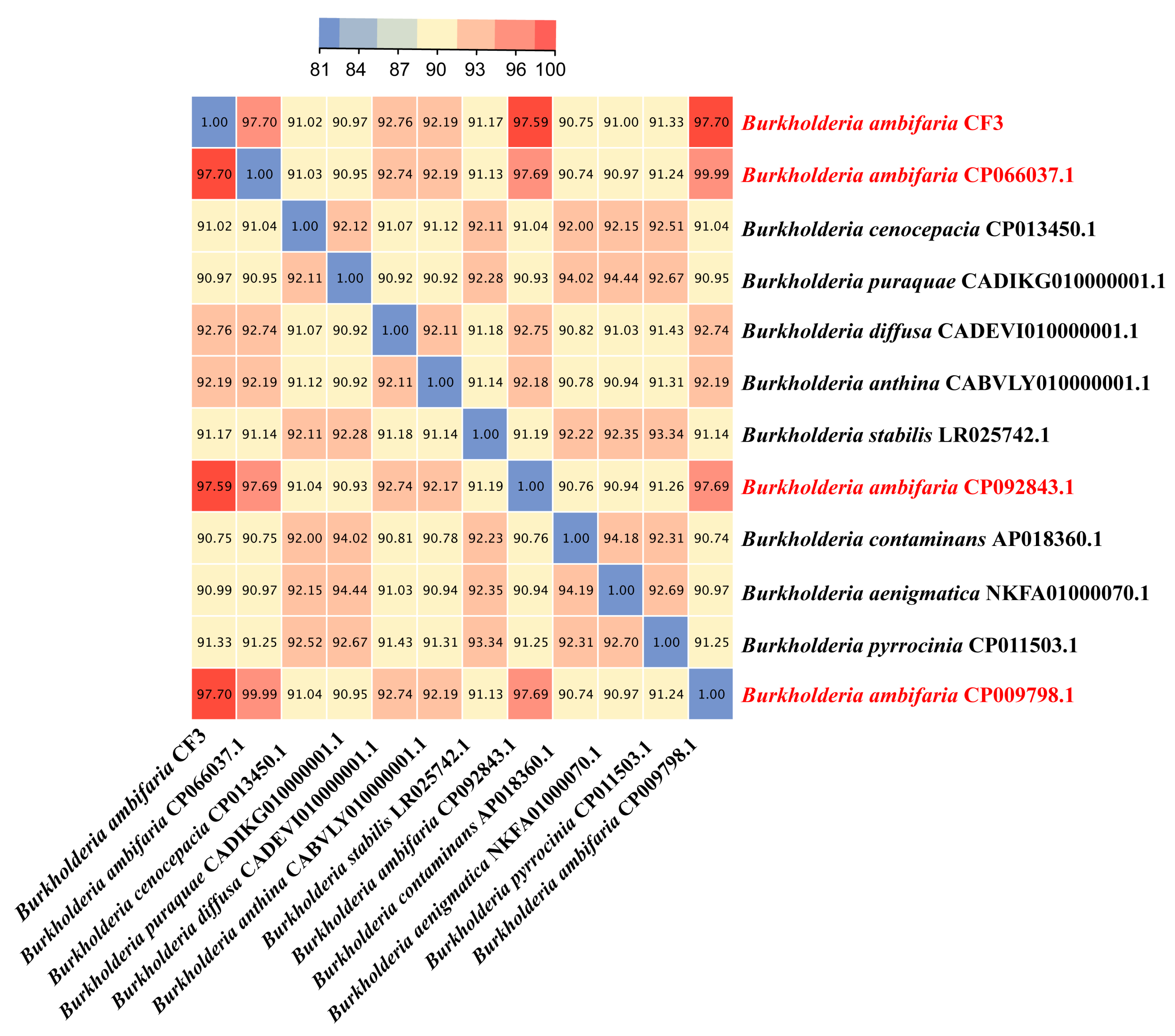Microorganisms 12 01043 g006