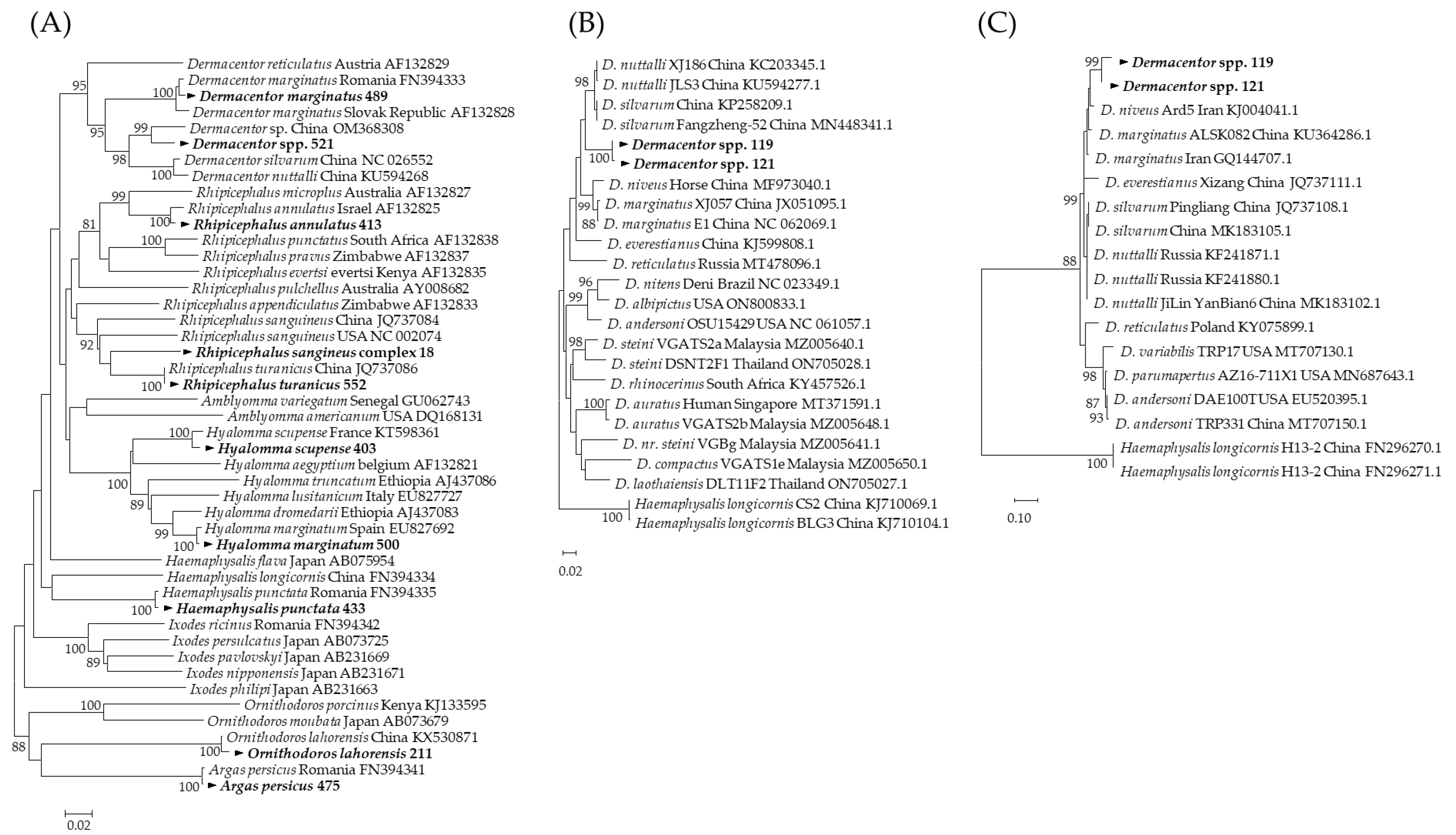 Microorganisms 12 01046 g002
