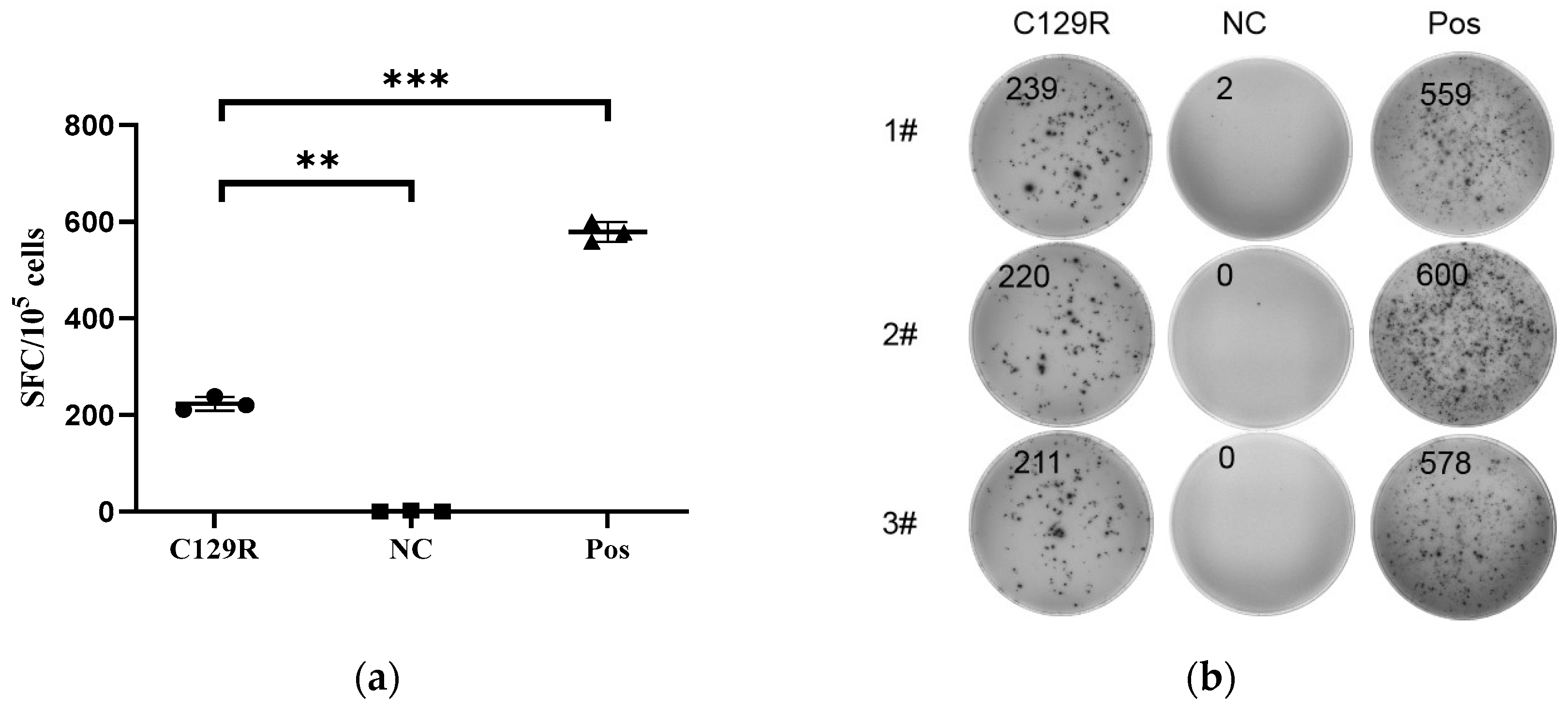 Microorganisms 12 01056 g004